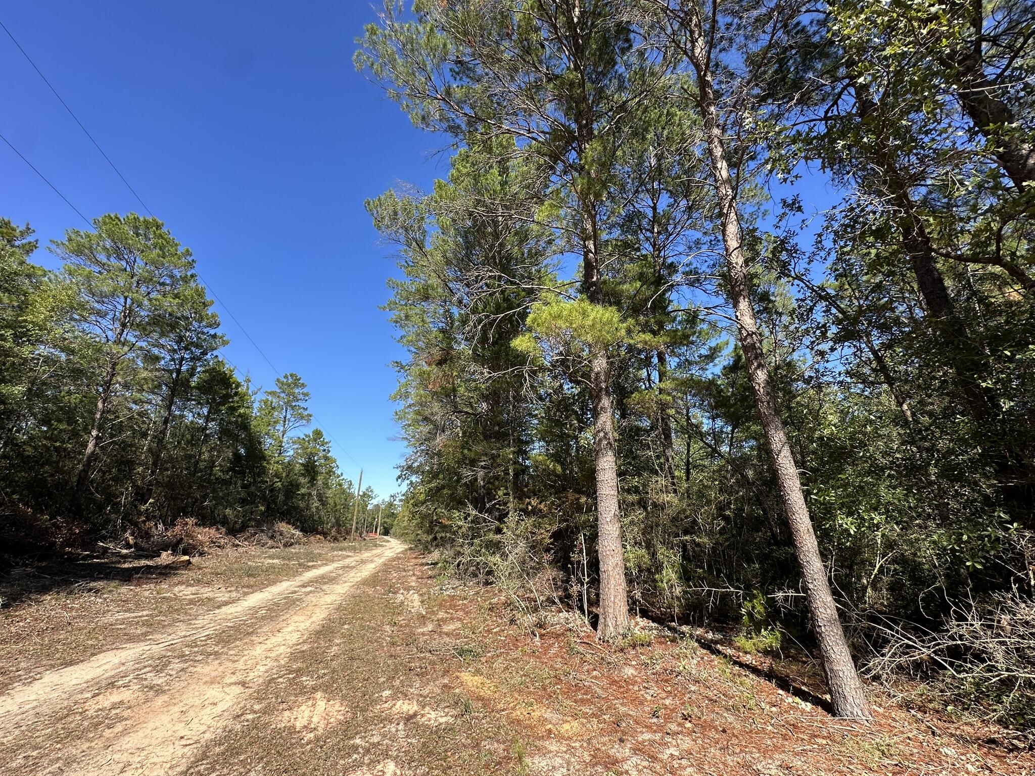 Discover the appeal of the Mount Olive Road area of Crestview, where open land and peaceful surroundings create an inviting setting for your next home site or investment. Located east of Shoal River in Okaloosa County,provides a balance of privacy and accessibility with convenient routes to town. Zoned for Northwood Elementary, Davidson Middle, and Crestview High School. Buyer and buyer's agent are responsible for verifying all information relevant to the purchase, including but not limited to zoning, utilities, and access, as part of the buyer's due diligence.