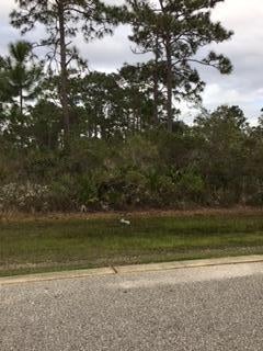 Pelican Bay Phase 2 - Land