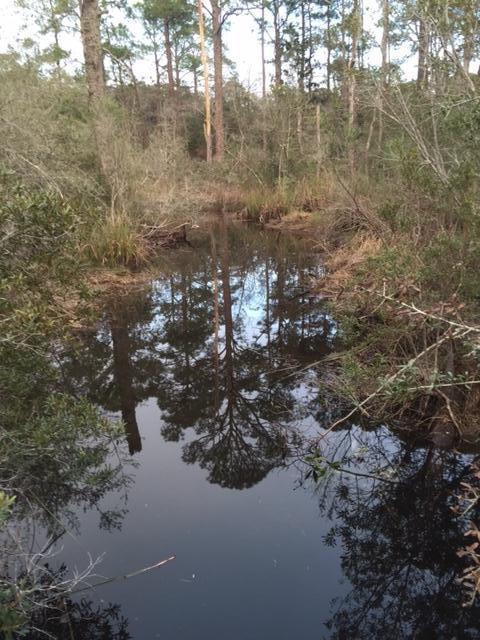 EDEN BAY ESTATES - Land