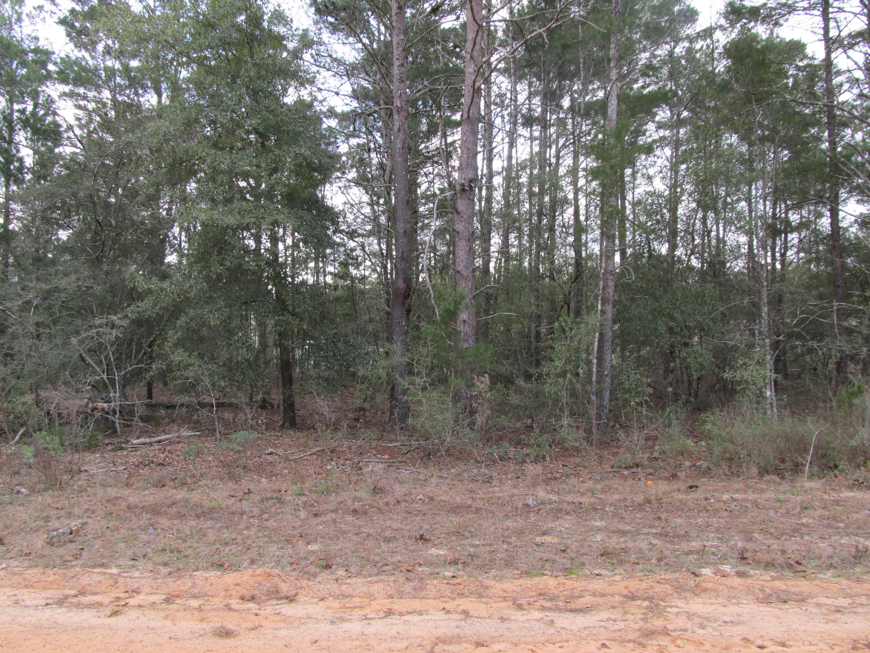 OAKWOOD HILLS UNIT 1 - Land