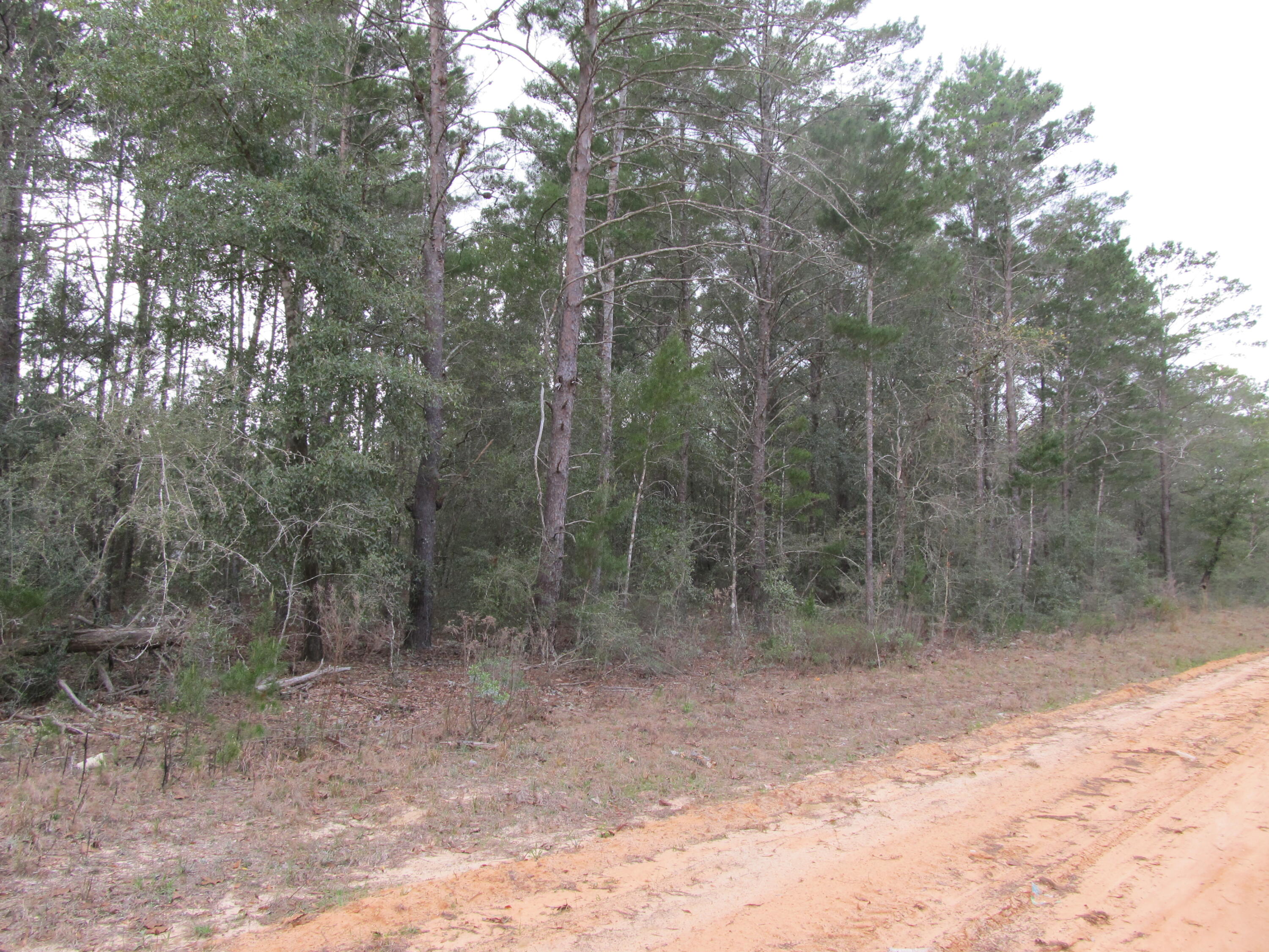 OAKWOOD HILLS UNIT 1 - Land