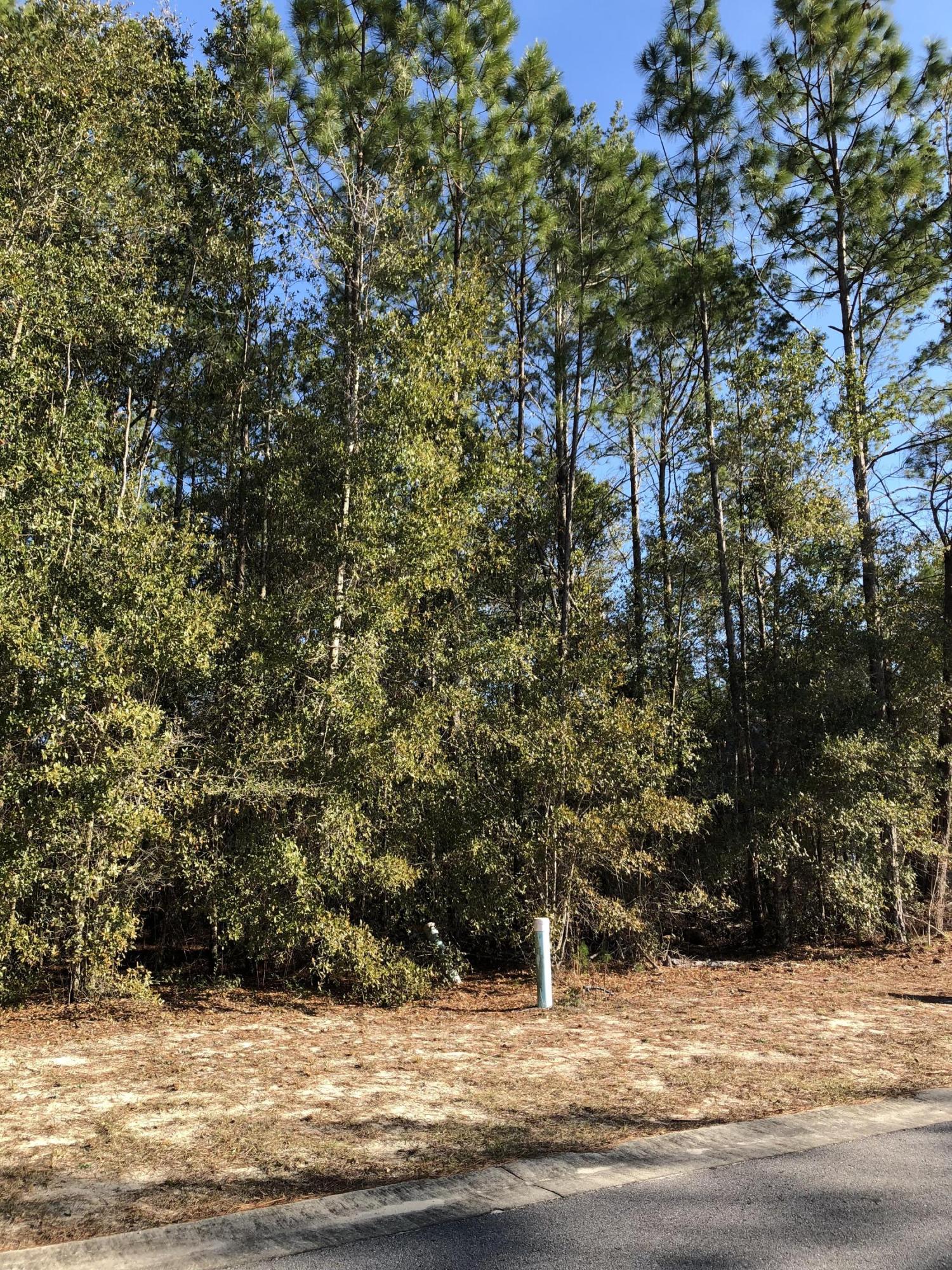 HAMMOCK BAY - Land