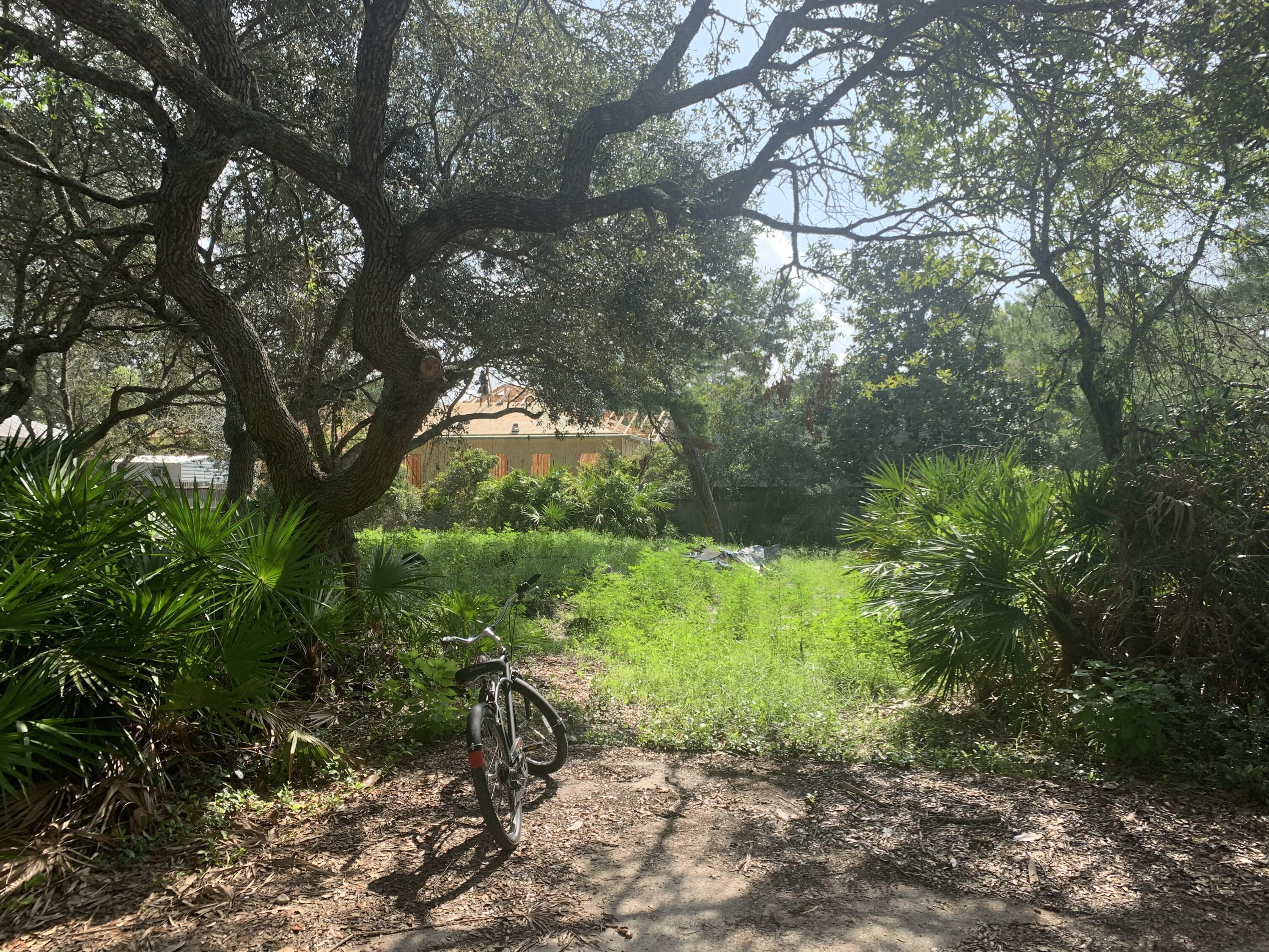 Excellent opportunity to own a lot south of 30A to build your custom home or hold for investment. INCREDIBLE LOCATION IN OLD SEAGROVE SOUTH OF 30A! LOT 5 & can be sold with Lot 8 or separately. Enjoy a short walk or bike to the beach. 1/8 of an acre. Incredible oak trees that could provide the perfect opportunity to build your dream vacation home or primary residence.  New shopping and Restaurants just down the street. No HOA or build out time. No Demolition cost, Ready to Build.  4-minute walk to the beach. Lot dimensions 50 x108. The lots are connected. All info and measurements are deemed to be accurate, but all info should be verified by buyer and/or buyer's agent.