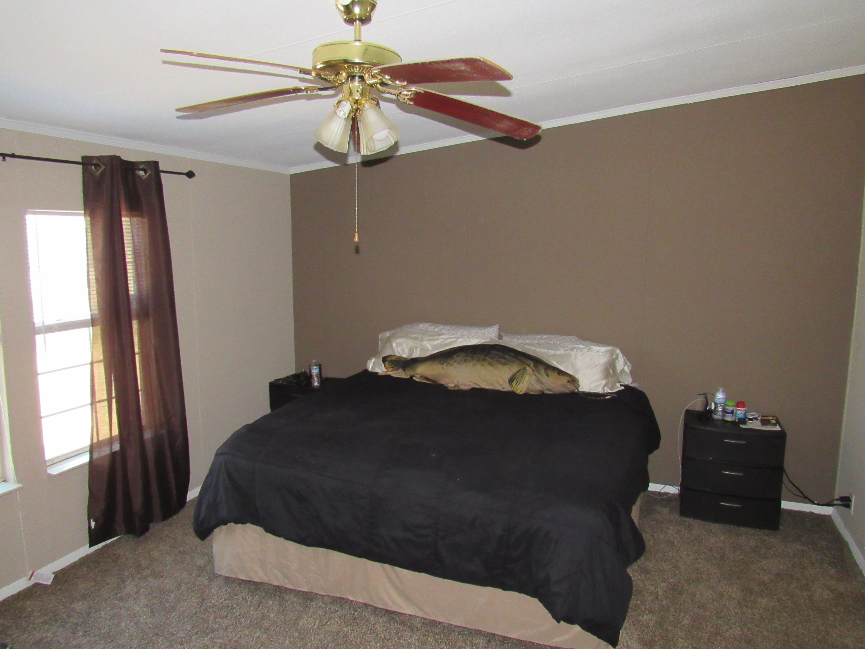 THE PINES - Residential