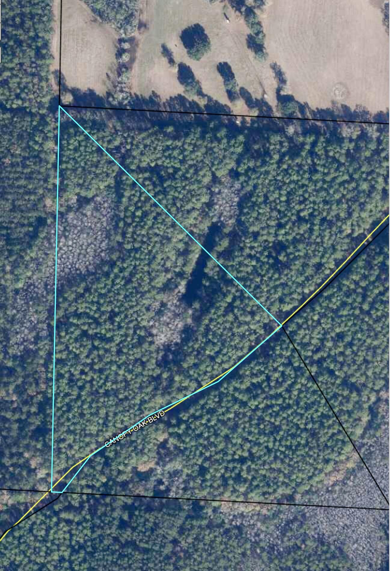 Beautiful 12.09 acre parcel in coveted Canopy Crossing subdivision in Bonifay Florida. Enjoy the peace and quiet of the country while still in a gated equestrian subdivision. Covenants and restrictions to keep values up. Build your dream country getaway.