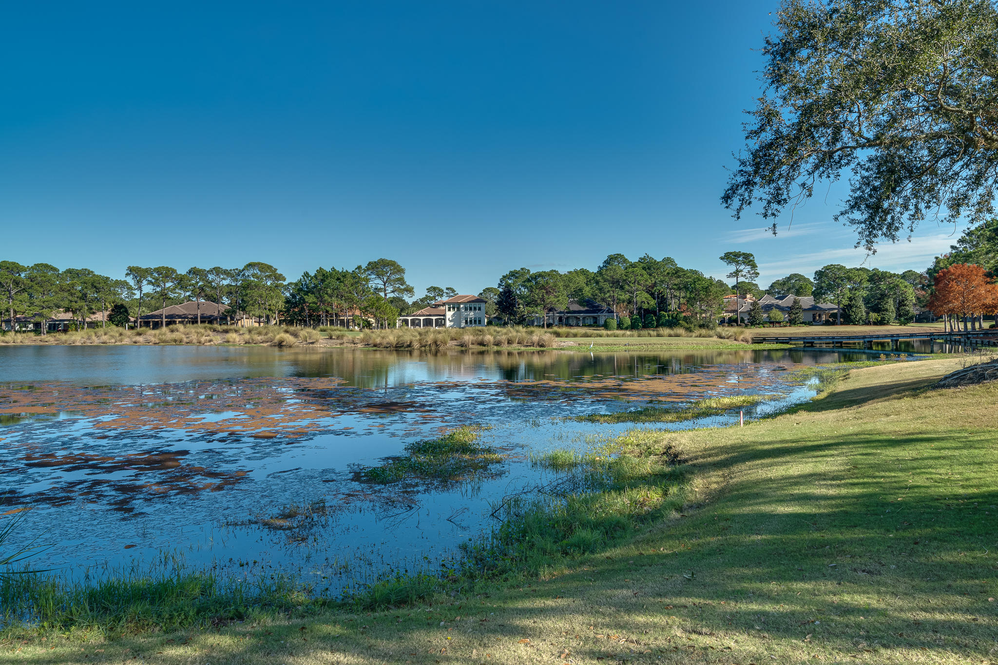 ISLAND GREEN - Residential