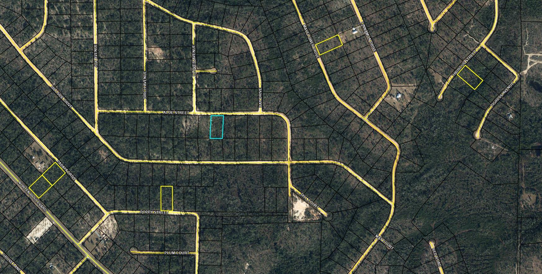 Large 1.148 acre lot in Compass Lake in the Hills. There is a voluntary HOA of $135 a year, but what a great price for all the amenities that are included such as: access to 2 lakes for fishing, tennis, horse stables / riding, rental cabins, RV spots, boat rentals, clubhouse, and a golf range. Being an all-sports lake, enjoy water skiing, tubing, jet skiing, boating, sailing, kayaking & swimming. No need to worry about lunch while out on the water when you have a boat accessible shoreline restaurant. This location is great for someone who enjoys nature and a short drive to the beach since it is located half way between Panama City And Dothan. The area is rich in historical significance, with many restored antebellum plantation homes open for tours or as bed-and-breakfast SELLER HAS MANY PARCELS, ALL LISTED, AND WILLING TO SELL INDIVIDUAL OR IN A PACKAGE