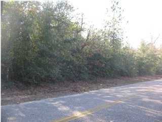 JUNIPER LAKE PINES - Land