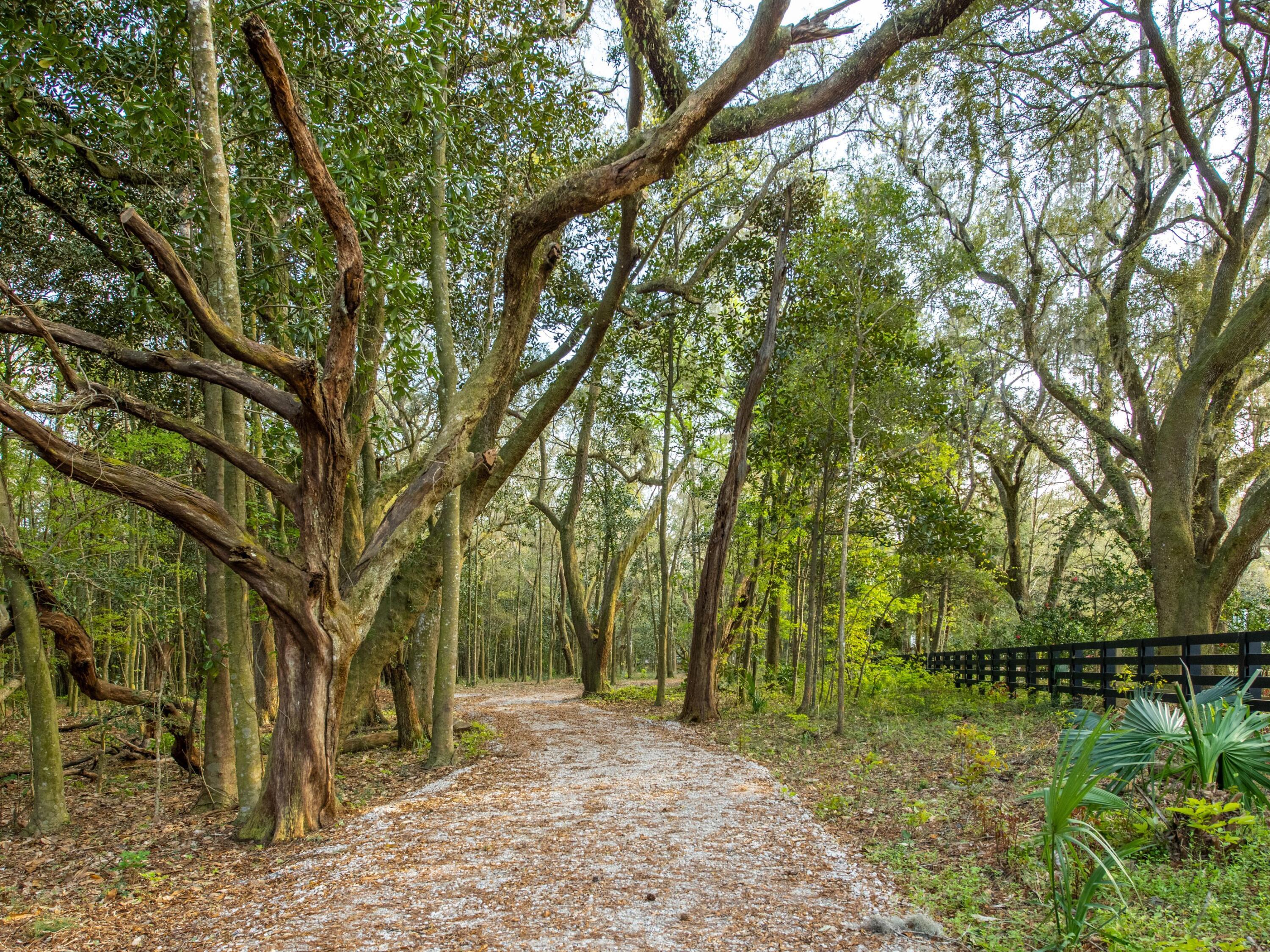 Eden Gardens Retreat - Land