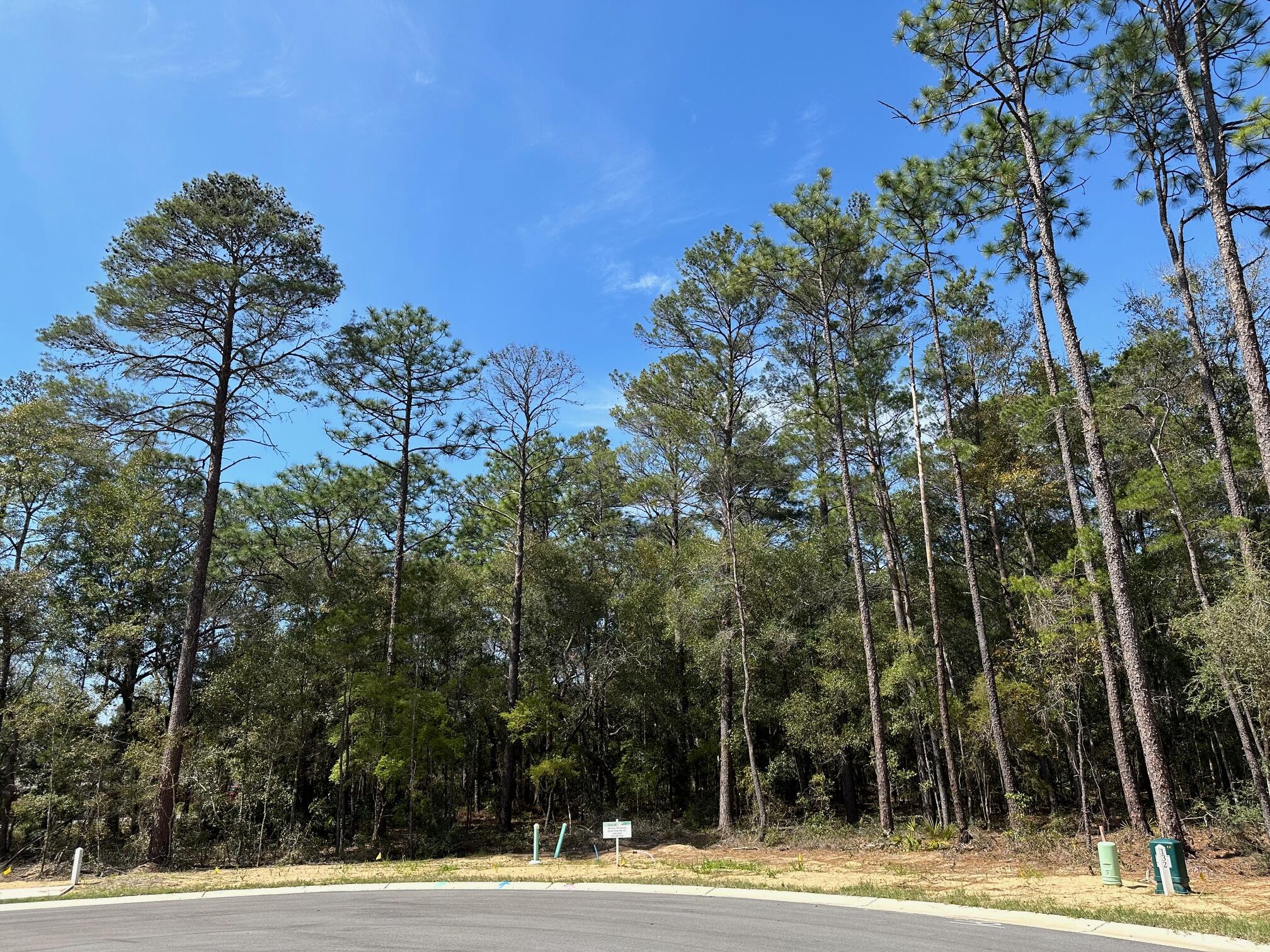 Cul-de-sac lot in desirable Deer Moss Creek®! This is one of only 12 large, flat lots developed in DMC Phase 7A. The cul-de-sac lots vary in size between 0.49 to 0.78 acres. If you're looking for an estate-sized lot in Niceville for your custom home, this is it. Deer Moss Creek® is an 1,100- acre, master-planned, mixed-use community in Niceville, FL. The west side of this lot borders a 30' natural wooded buffer. Community plans include a nature trail, bike lanes, parks, pools, office and retail space. Sidewalks are 5' wide and home plans must be approved by the Town Architect.
This lot is large enough for a pool.