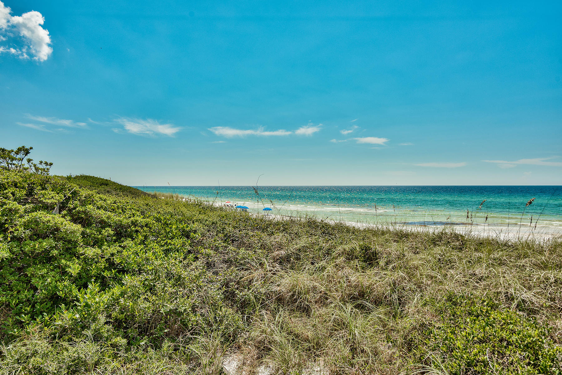 VIZCAYA AT DUNE ALLEN - Residential