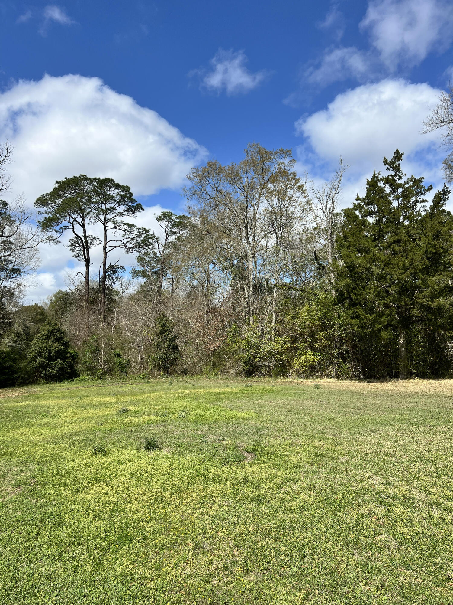 Build your dream home on this generously sized residential lot offering plenty of space for outdoor living, gardening, or additional storage. Enjoy the charm of small-town living while still being conveniently located near schools, shopping, and local amenities. Plus, you're just a short drive to the beautiful sandy beaches of Panama City Beach.