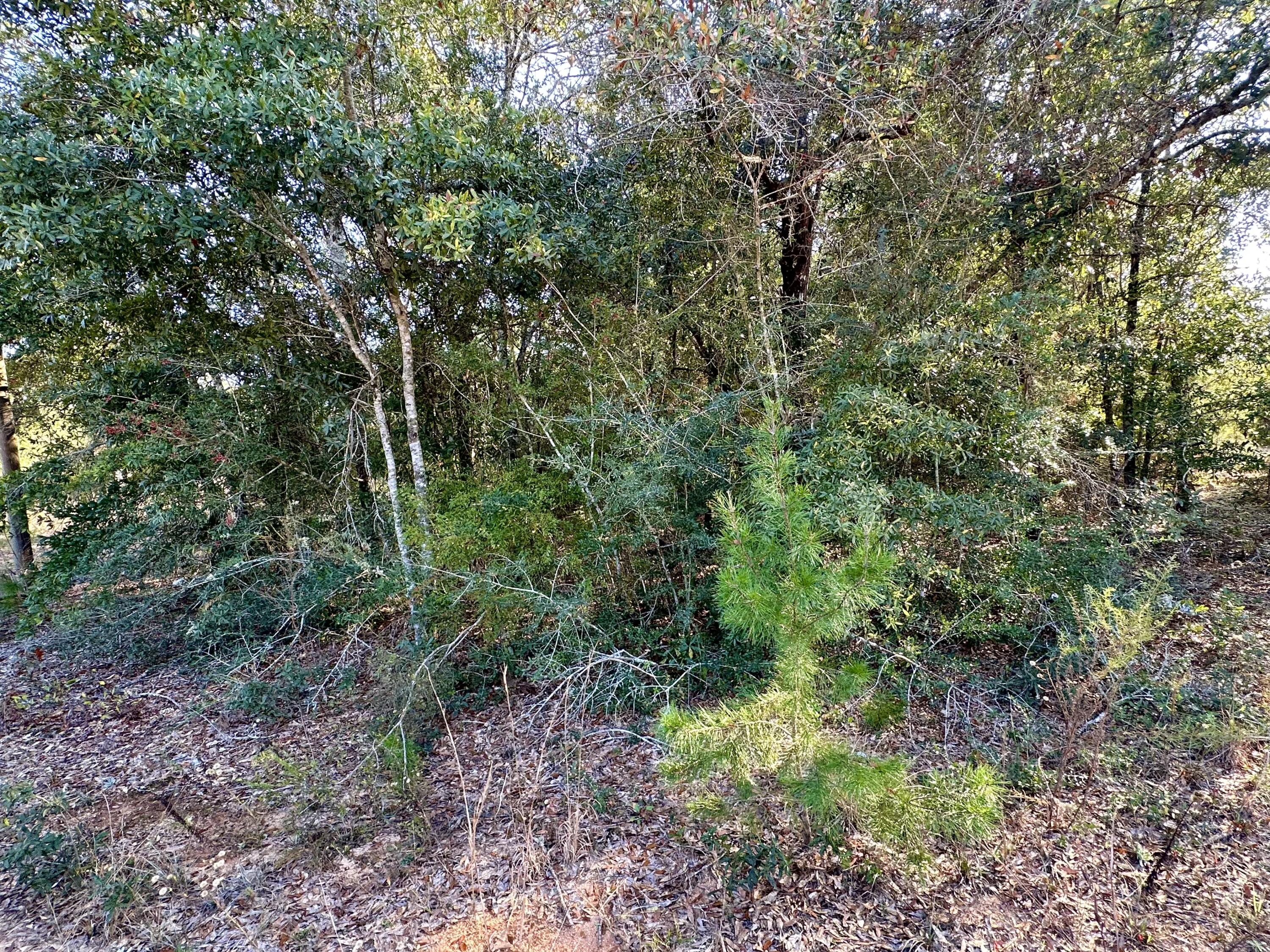 LOT 3 BLK 22 OAKWOOD HILLS UNIT 1 PB 3-90 OR 3333-596 - Land