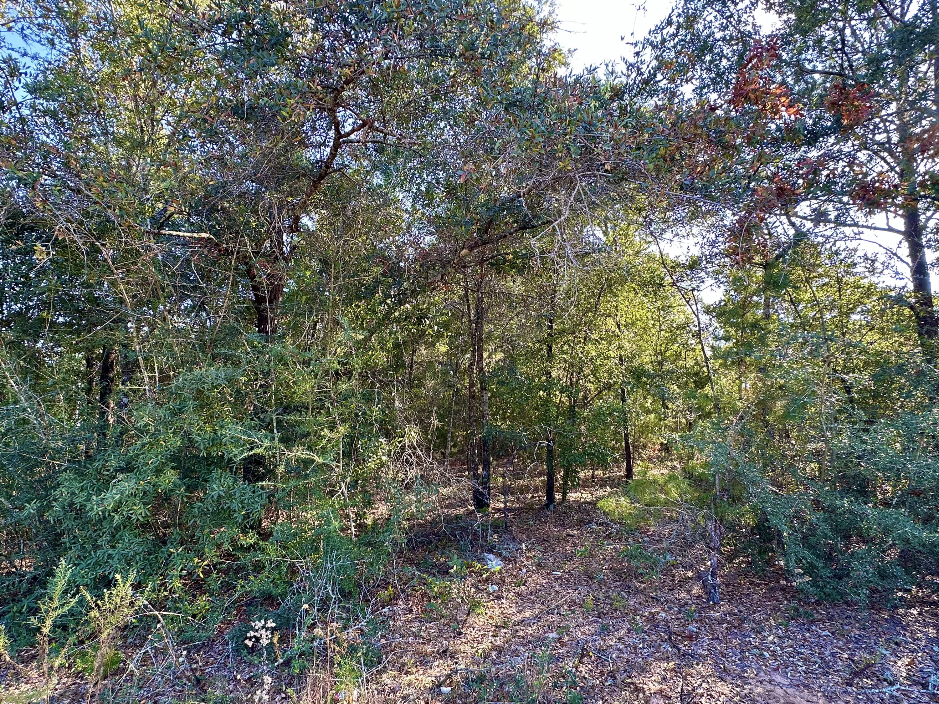 LOT 3 BLK 22 OAKWOOD HILLS UNIT 1 PB 3-90 OR 3333-596 - Land