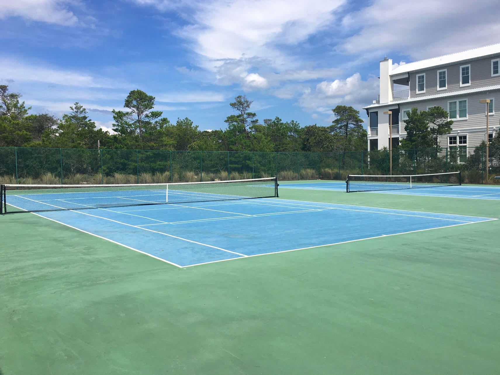 THE PRESERVE AT GRAYTON BEACH - Residential