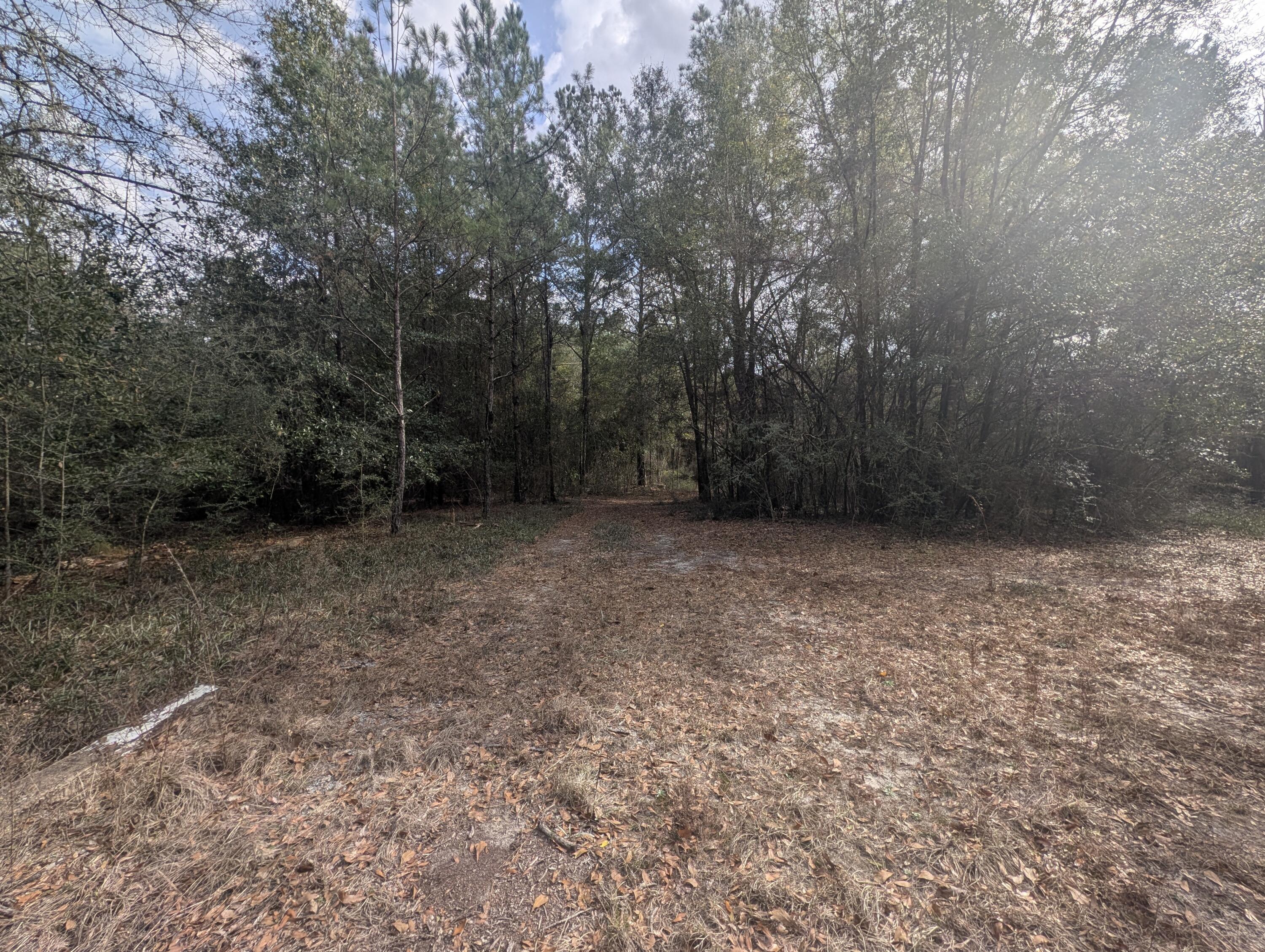 SHOAL RIVER PLANTATION UNREC S/D - Land