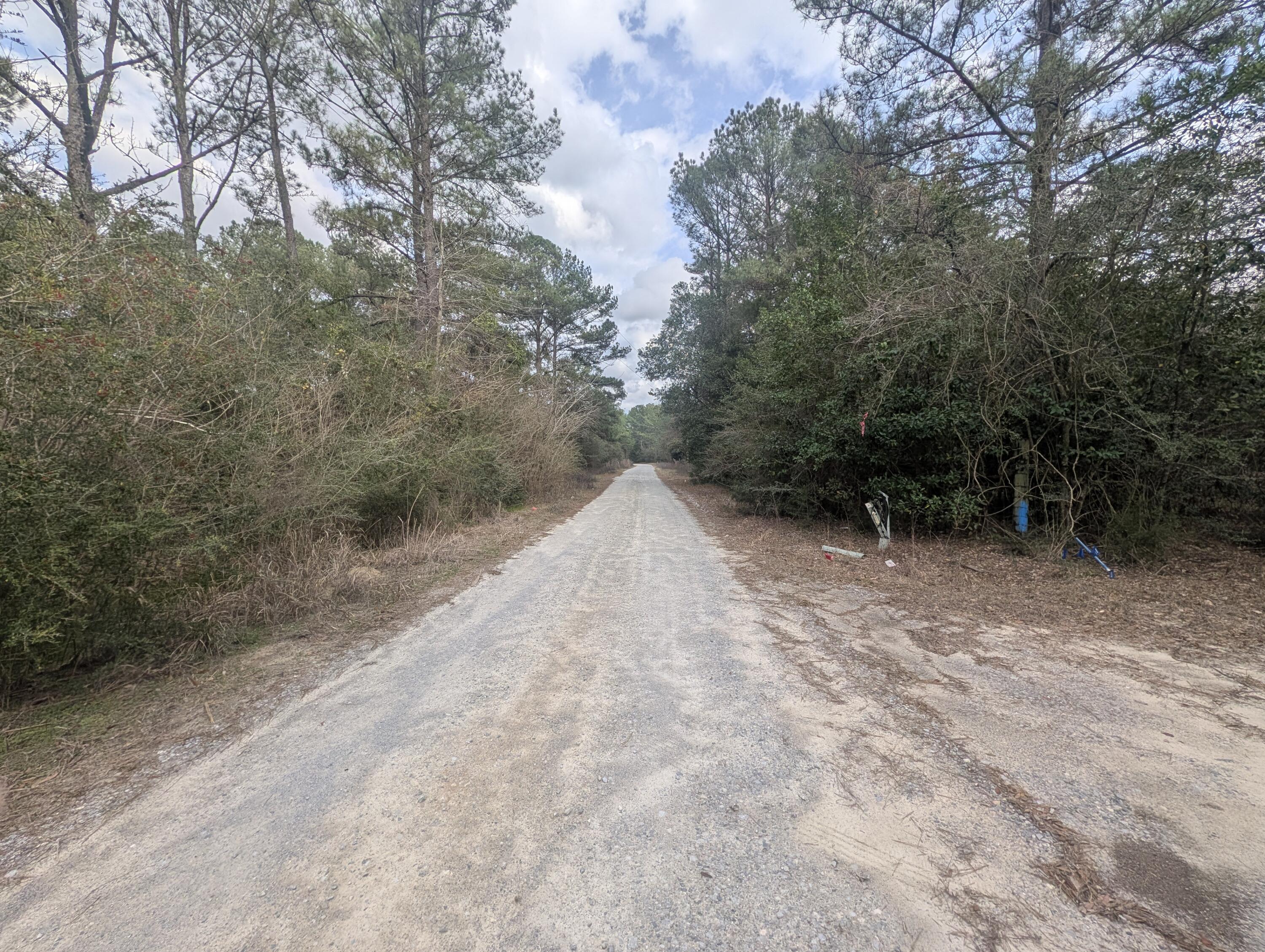 SHOAL RIVER PLANTATION UNREC S/D - Land