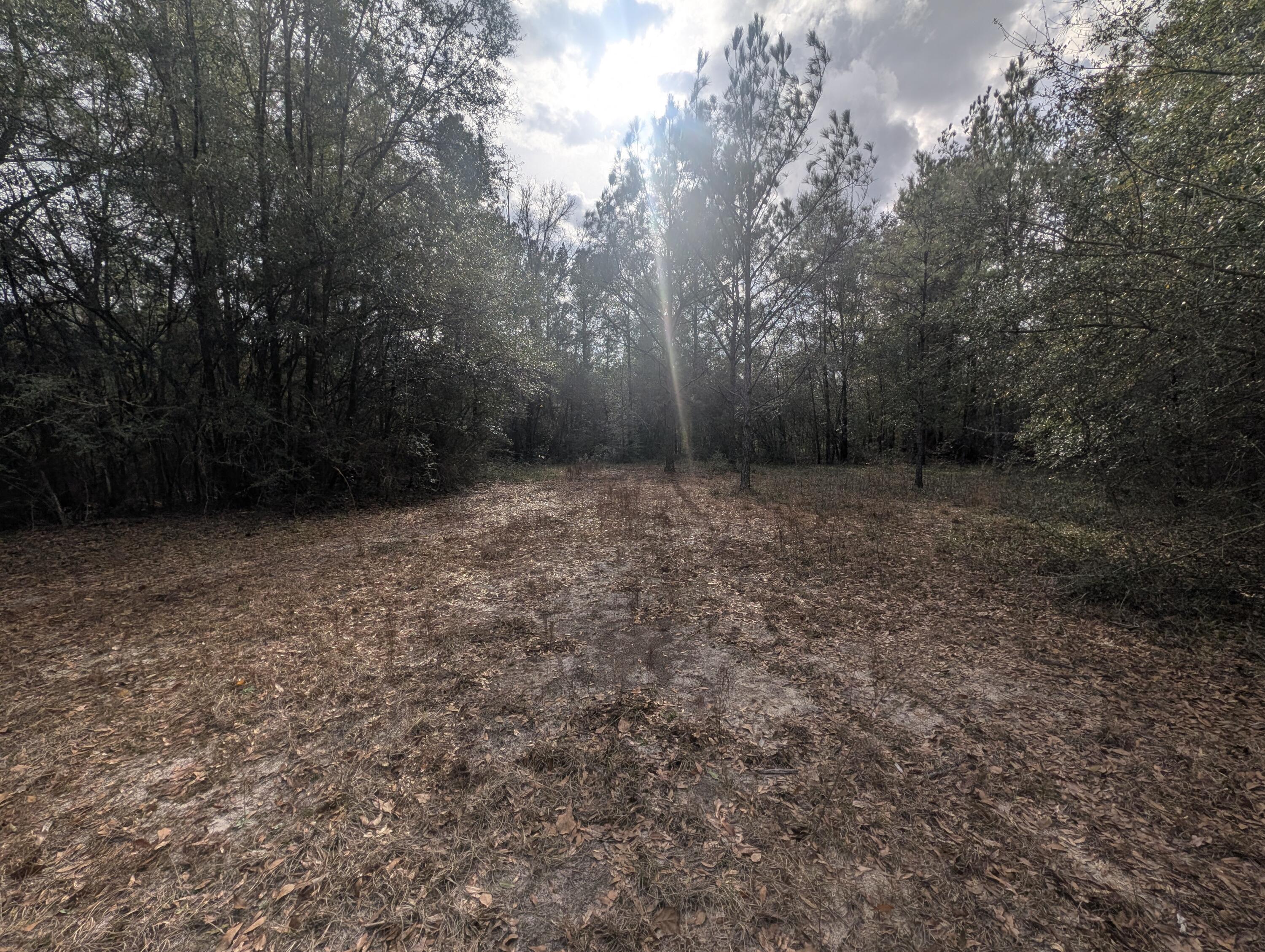 SHOAL RIVER PLANTATION UNREC S/D - Land