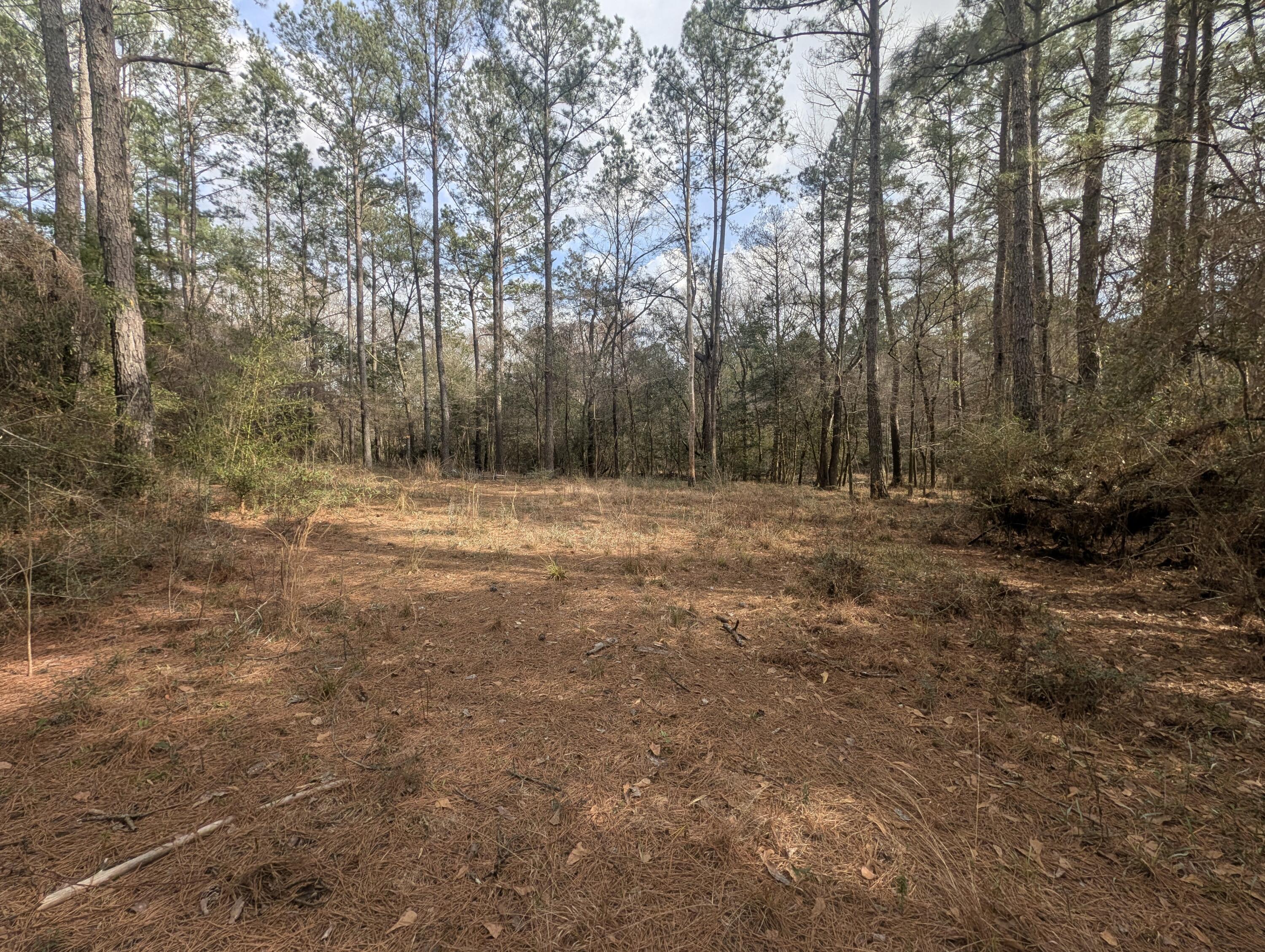 SHOAL RIVER PLANTATION UNREC S/D - Land