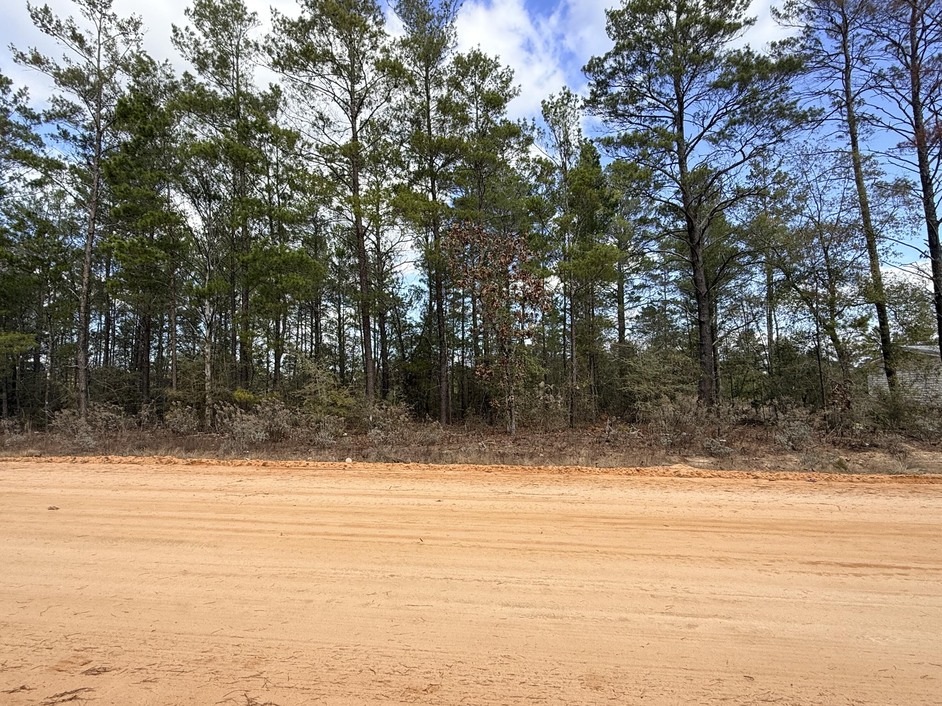 Looking for seclusion? This beautifully wooded 0.23-acre lot is located between DeFuniak Springs and Mossy Head, Florida. This lot backs to Oakwood Hills park. No HOA and minimal restrictions offer flexibility--mobile homes are allowed. Power is available at the road; buyer to install septic. Water tap available, but fee is due. Situated in Flood Zone X (low risk). Per Walton County GIS mapping, the property does not appear to contain wetlands. Convenient access to I-10 and CR 285 provides easy commuting in all directions. Just .04 of a mile from US-90. Approximately 30-45 minutes to major employment centers and the Emerald Coast's white sandy beaches, including Destin's world-famous Crab Island. A survey is required to confirm property boundaries and dimensions. All information deemed reliable but not guaranteed. Property dimensions are approximate per CRS Property Data Report.