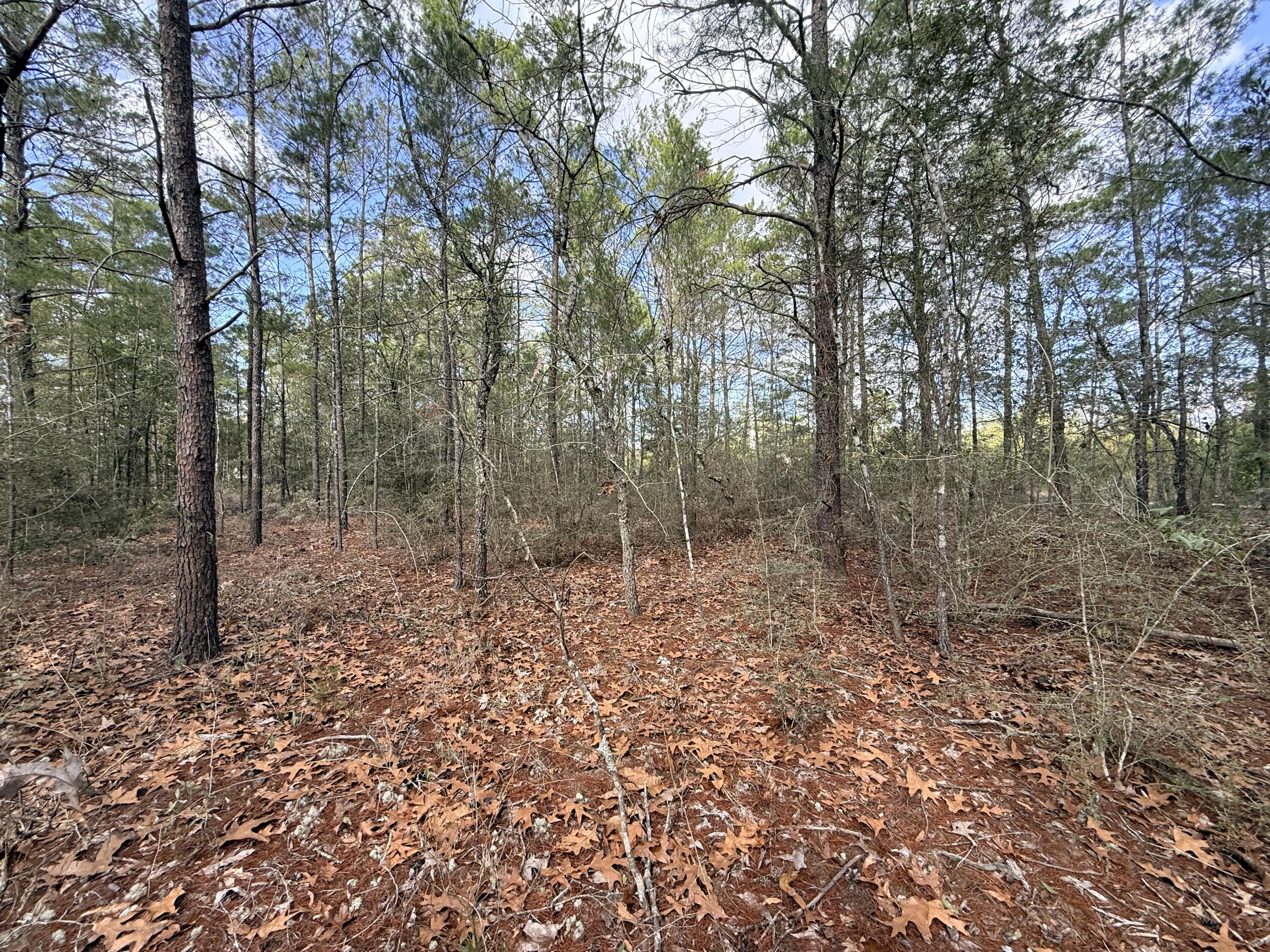 OAKWOOD HILLS UNIT 1 (section 16, plat book 3 page 9) - Land