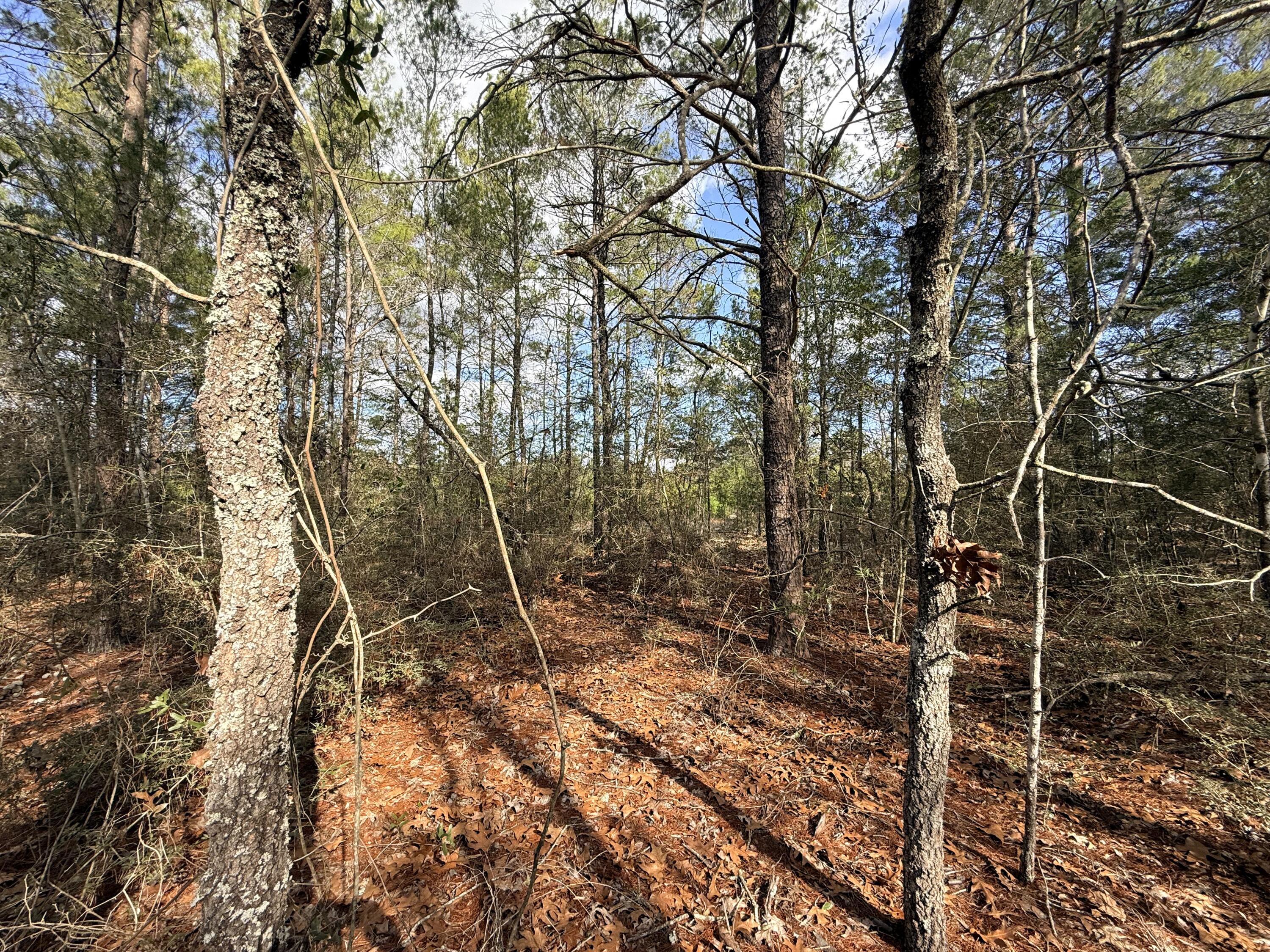OAKWOOD HILLS UNIT 1 (section 16, plat book 3 page 9) - Land