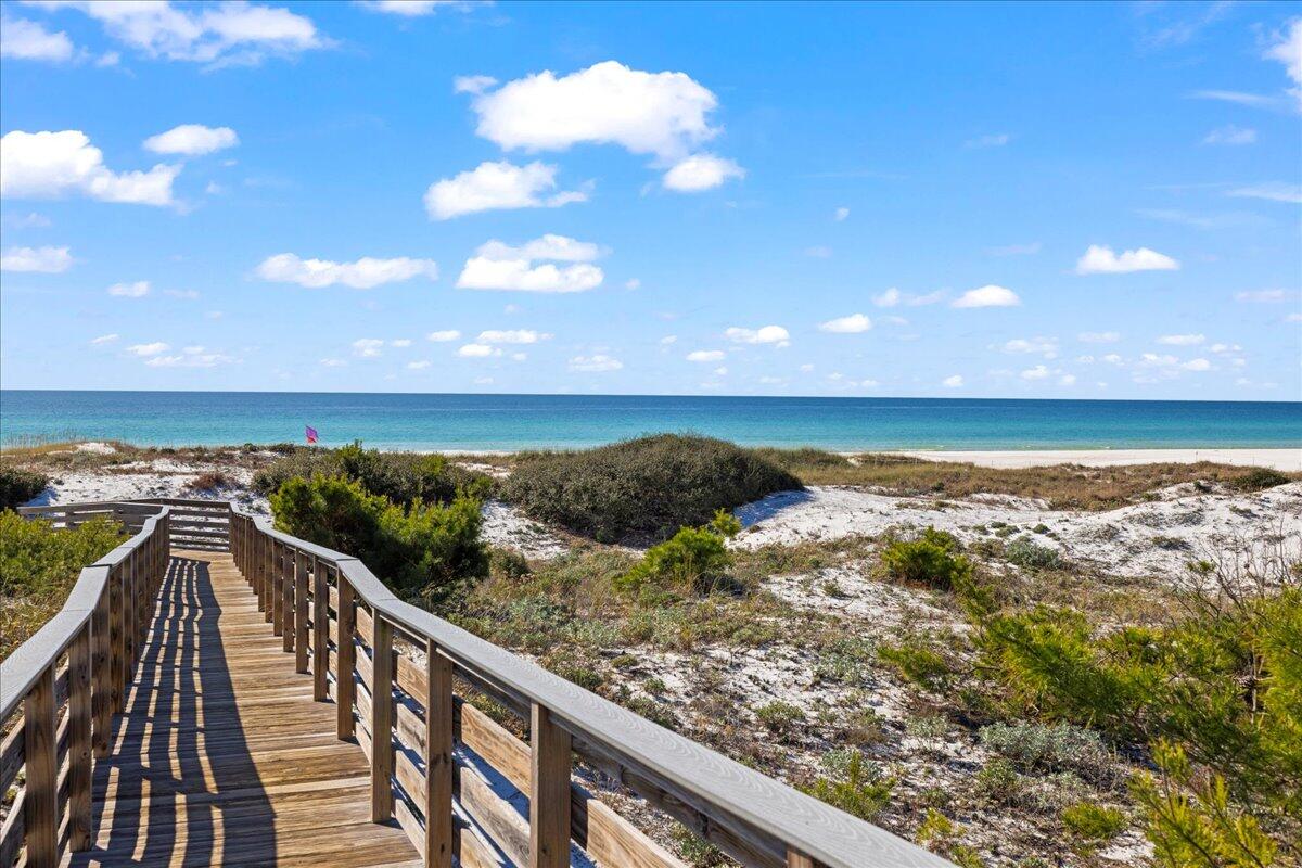 THE PRESERVE AT GRAYTON BEACH - Residential