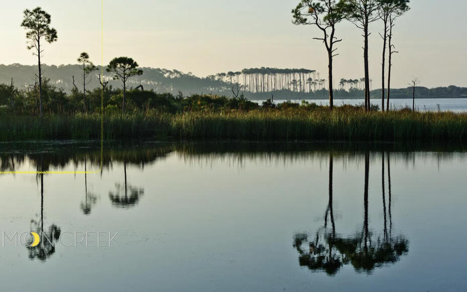 Amazing Opportunity to build your dream home in the most desirable neighborhood on 30A. 
LakePlace @ Grayton Beach is a lovely gated community situated on 30A, along the Banks of Western Lake, a rare coastal dune lake that's a popular spot for fishing, kayaking & paddle boarding to the white sands of Grayton Beach. LakePlace is a short walk/bike from the beautiful Gulf of Mexico & offers a peaceful retreat. The neighborhood features a community pool, green space & a dock great for relaxing & enjoying the amazing views of Western Lake. 
What makes LakePlace amazing is the beautiful Oak trees, lush greenery & wonderful neighbors!
Walk/bike to great restaurants, Seaside, Watercolor & other exciting places. Come visit LakePlace & you'll understand why it's the most desirable community on 30A.