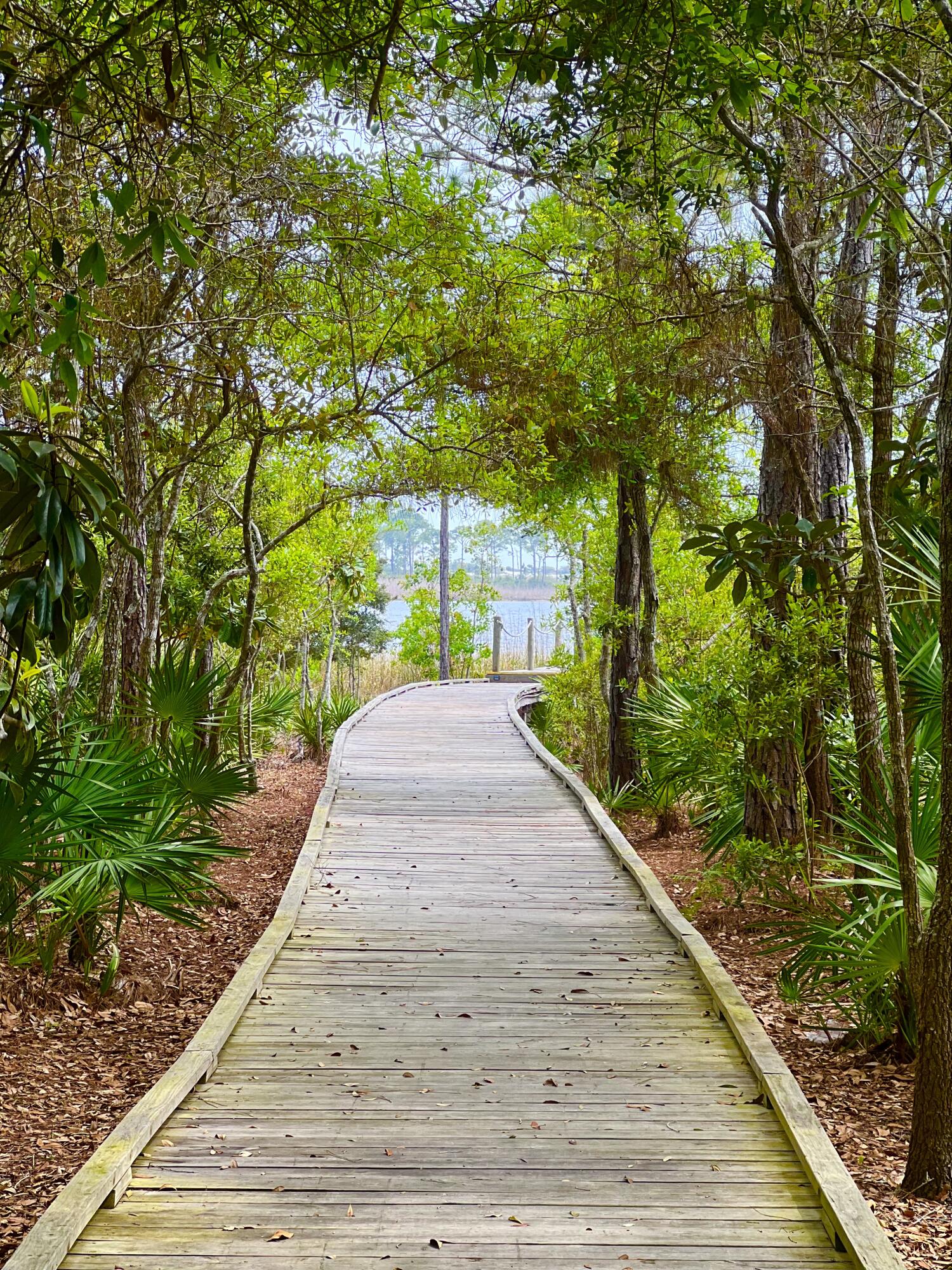 LAKE PLACE AT GRAYTON BEACH - Land