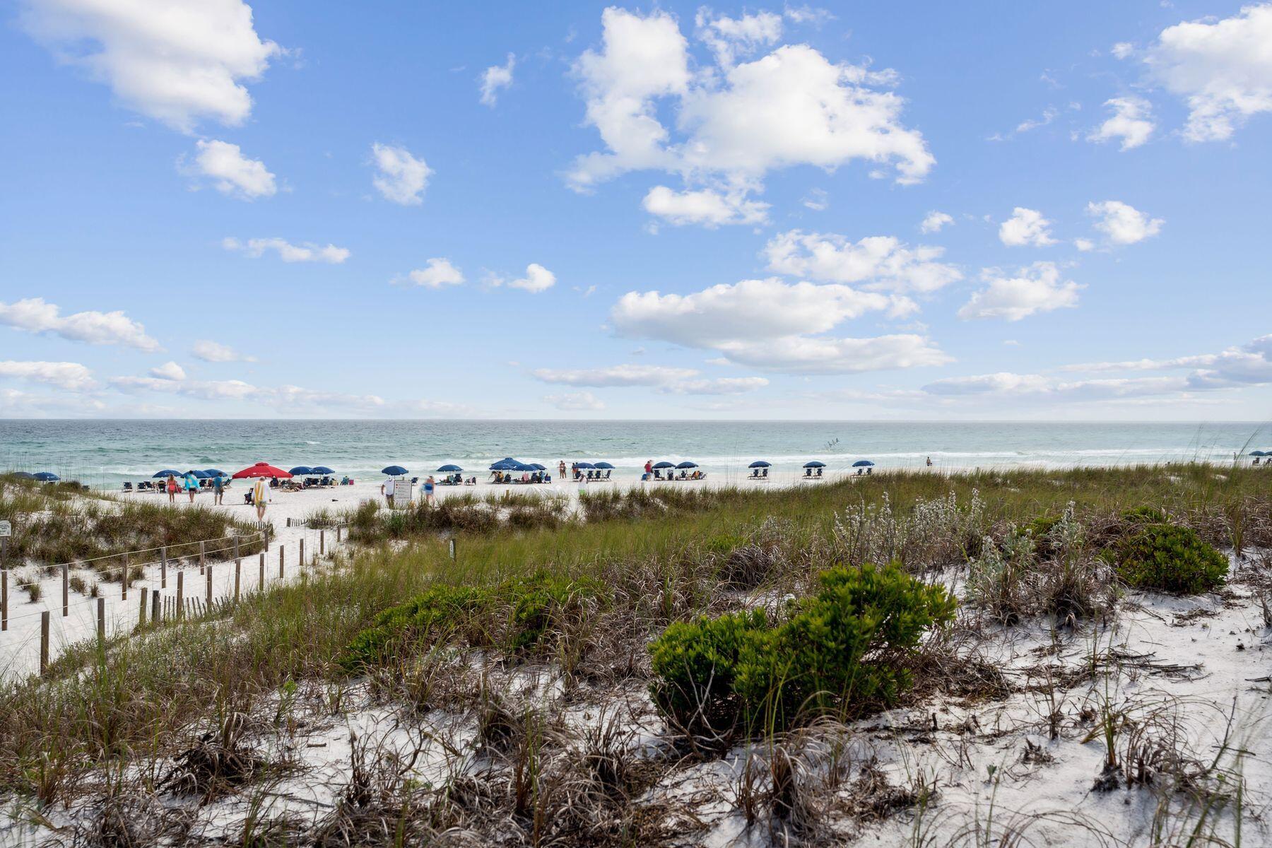 THE PRESERVE AT GRAYTON BEACH - Land