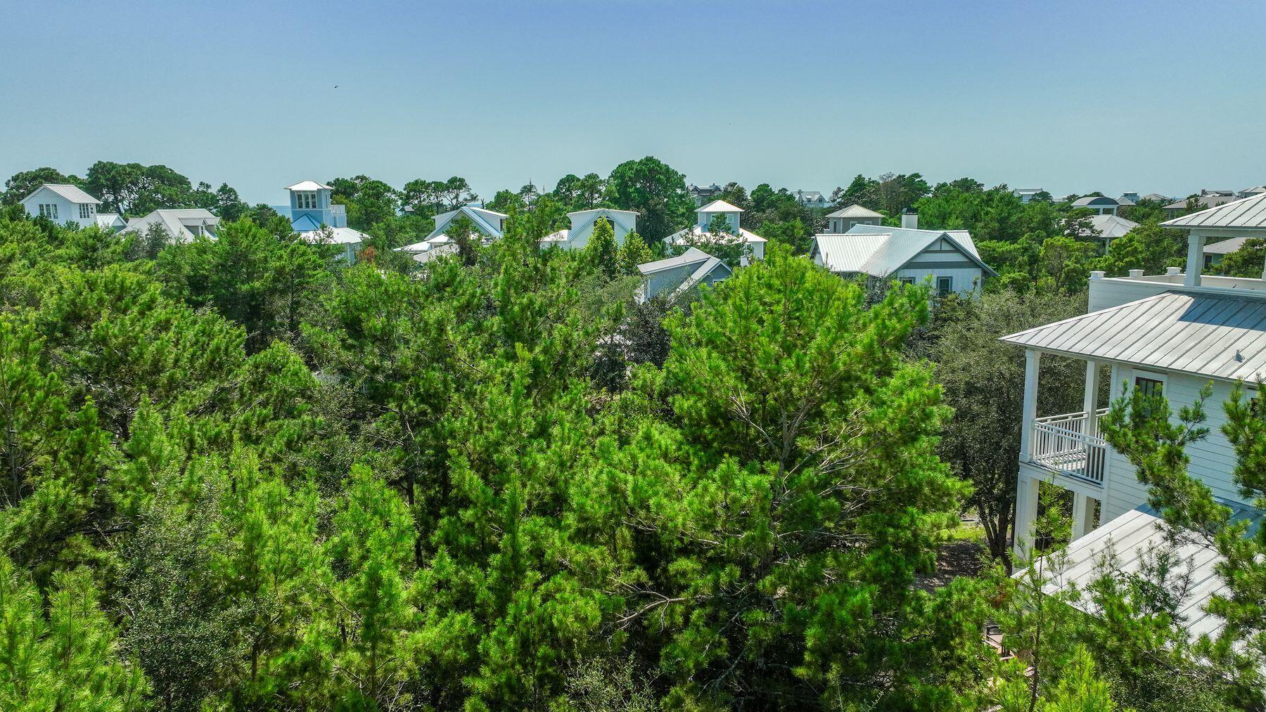 THE PRESERVE AT GRAYTON BEACH - Land