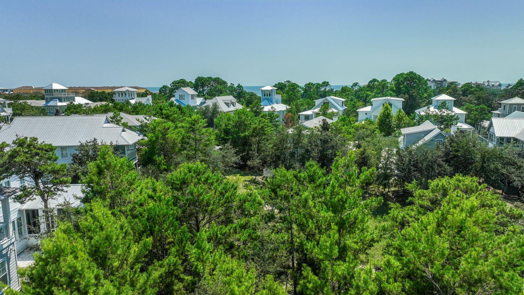 THE PRESERVE AT GRAYTON BEACH - Land