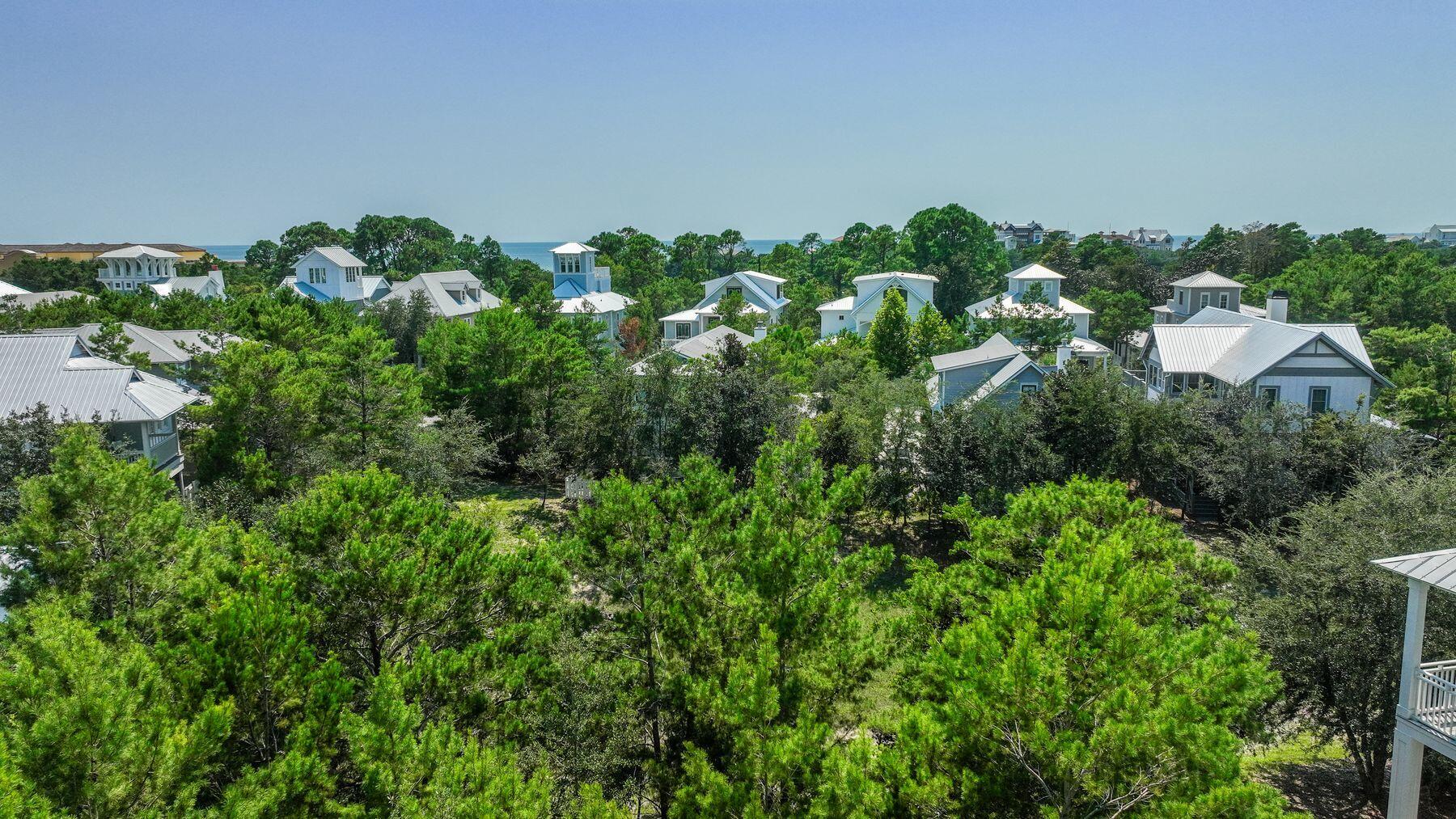 THE PRESERVE AT GRAYTON BEACH - Land