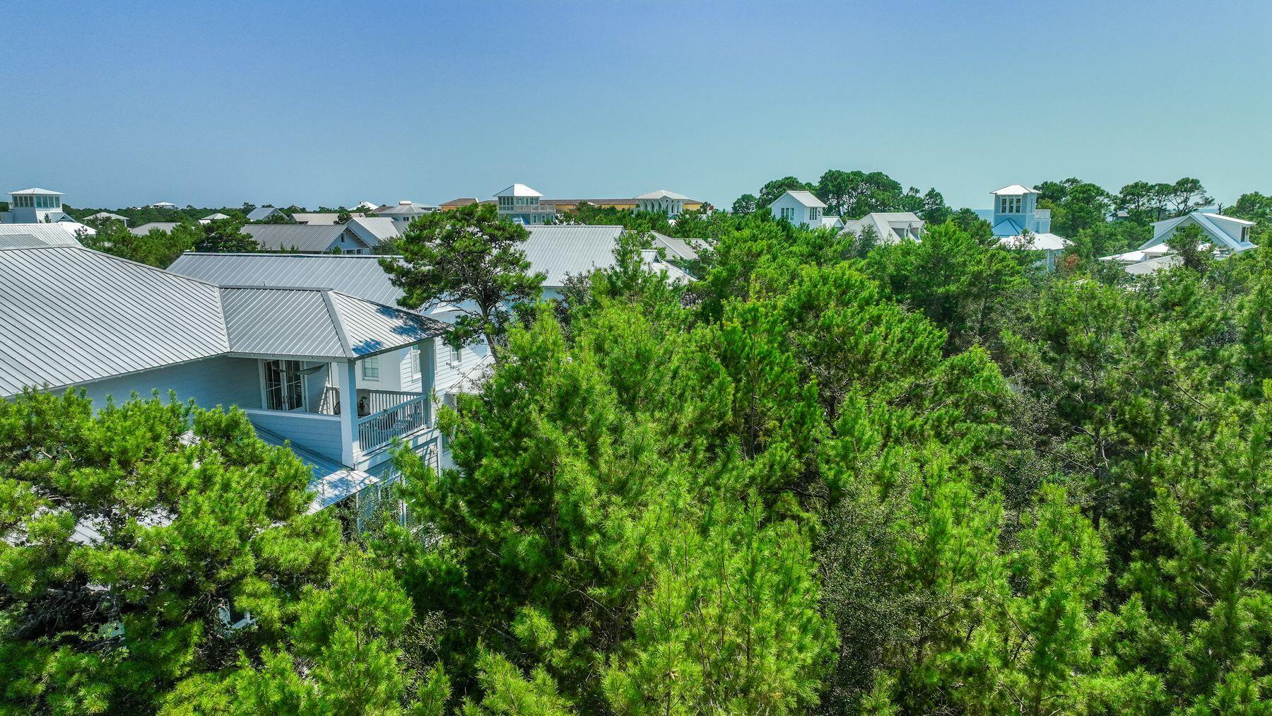 THE PRESERVE AT GRAYTON BEACH - Land