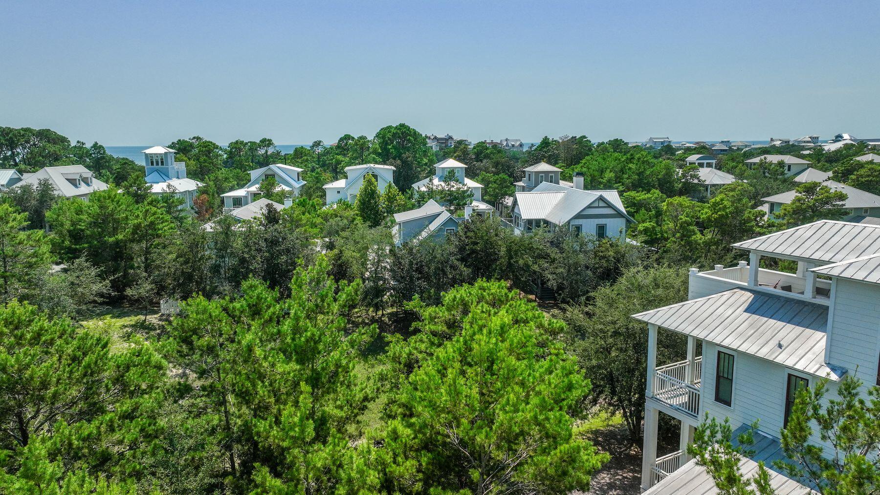 THE PRESERVE AT GRAYTON BEACH - Land
