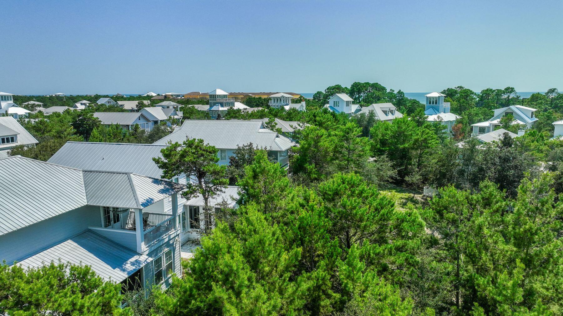 THE PRESERVE AT GRAYTON BEACH - Land