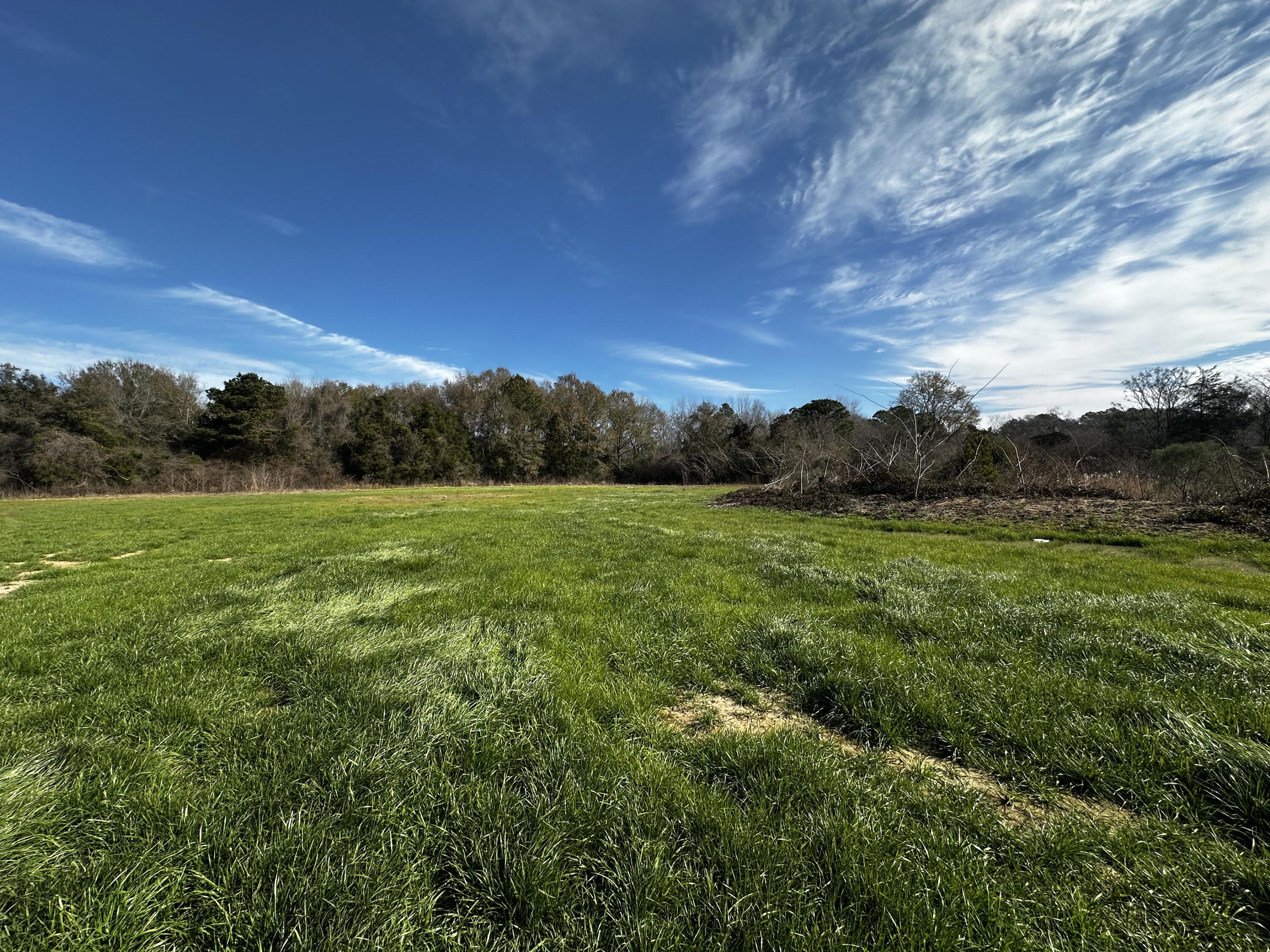 5+/- Acres with paved road frontage on Charlie Day Road, in Baker!
This cleared 5-acre parcel features paved road frontage and direct access to Hwy 4. With the new I-10 connector under construction and Hwy 90 just a short drive away, the location offers strong travel connections throughout the region.  Level homesite out front and  a Dirt pit in the rear great for dirt bikes or an RC track.