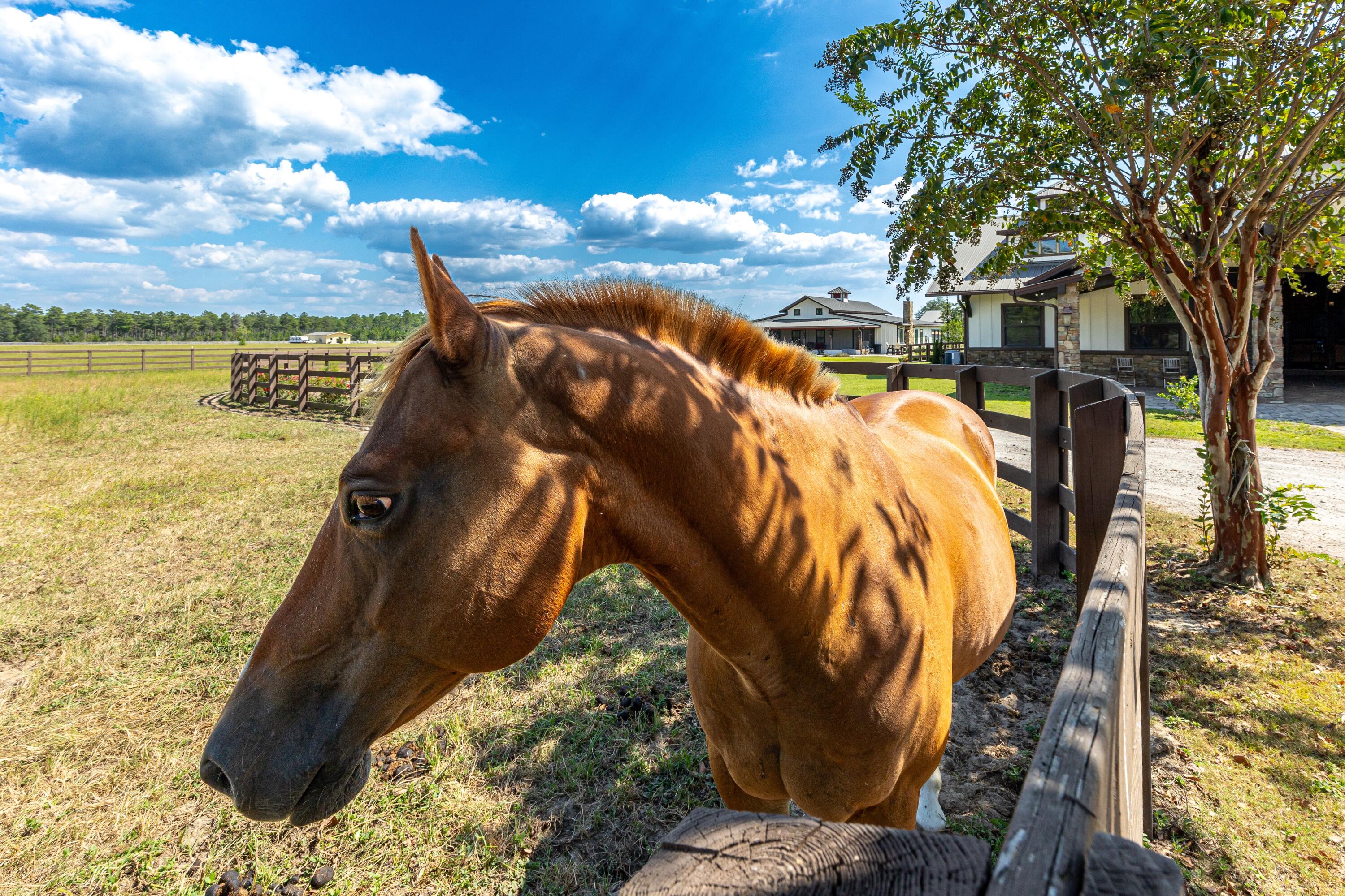 STABLES AT SANDY PINE - Residential