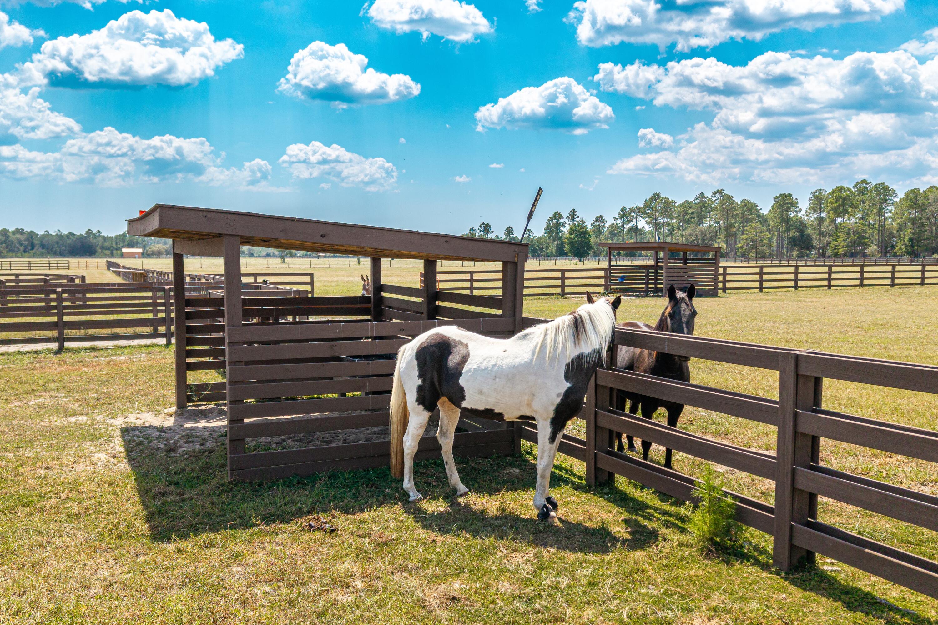STABLES AT SANDY PINE - Residential