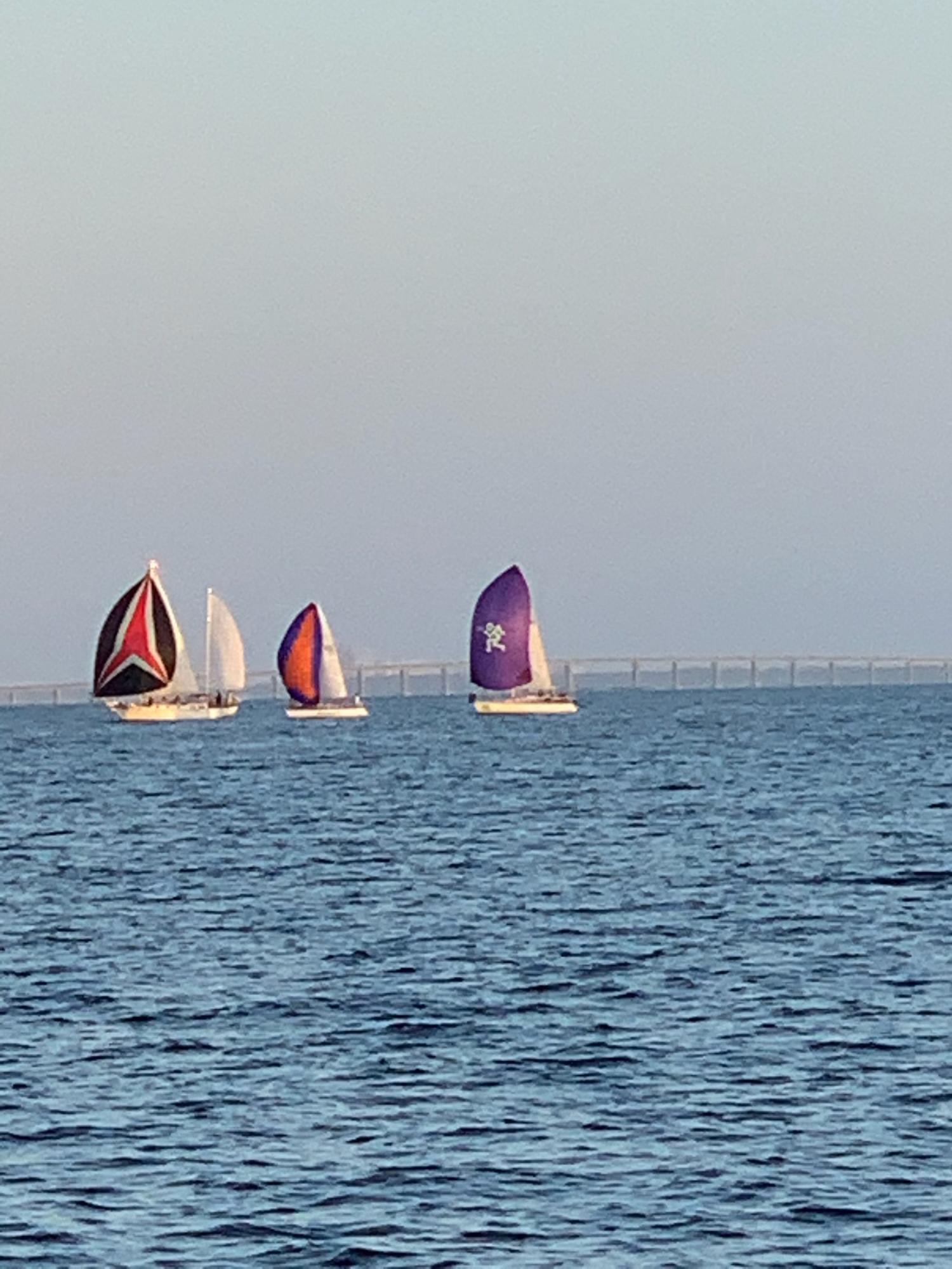 DANA & DOLPHIN POINT - Residential