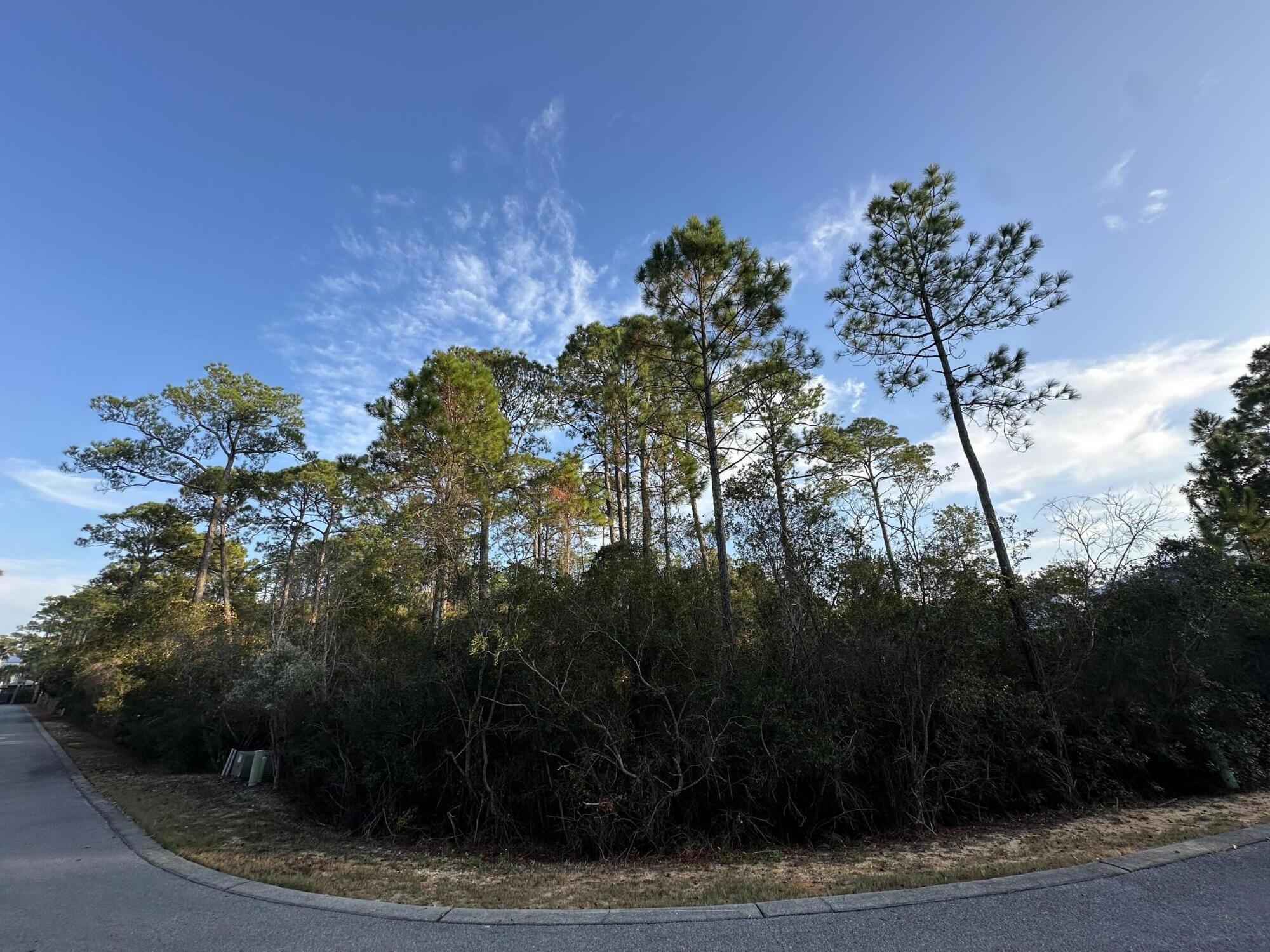 TREETOP - Land