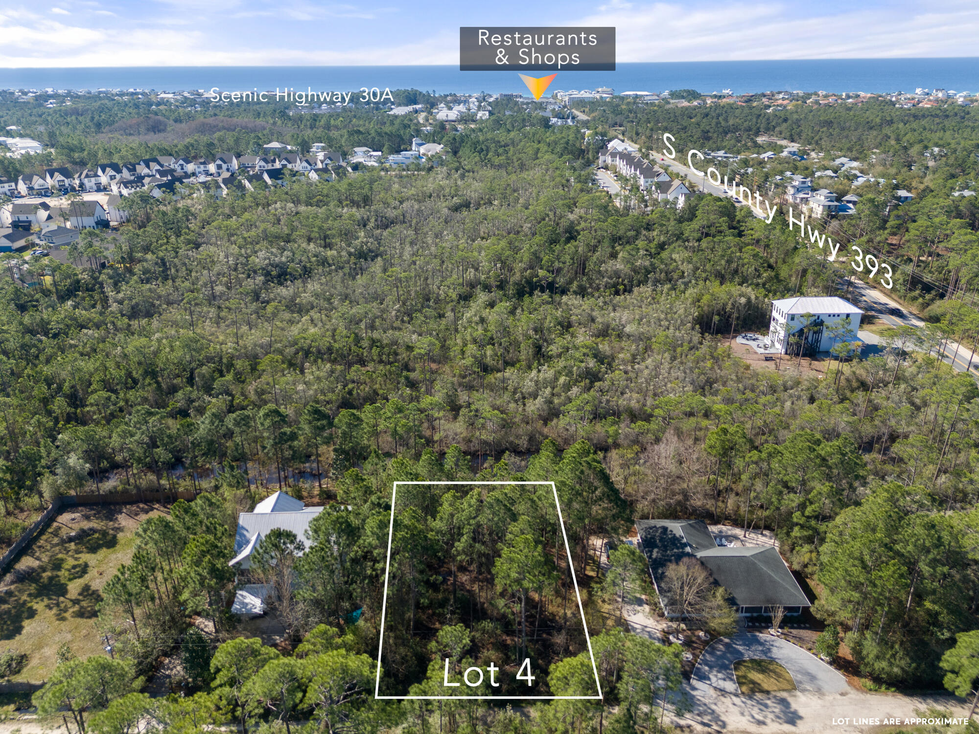 Prime development opportunity on this generous, level 1/3+ acre parcel on Lot 4 Calm Gulf Dr. to plan your dream or rental investment home on a quiet private street. NO HOA! Just 3 blocks from the beach access at Ed Walline Park on the Gulf. Restaurants, Gulf Place and Scenic 30A hike and bike trail, shopping, dining and entertainment. No through traffic! Long Leaf Pine Trailhead and Santa Rosa Beach Golf Course Near By.