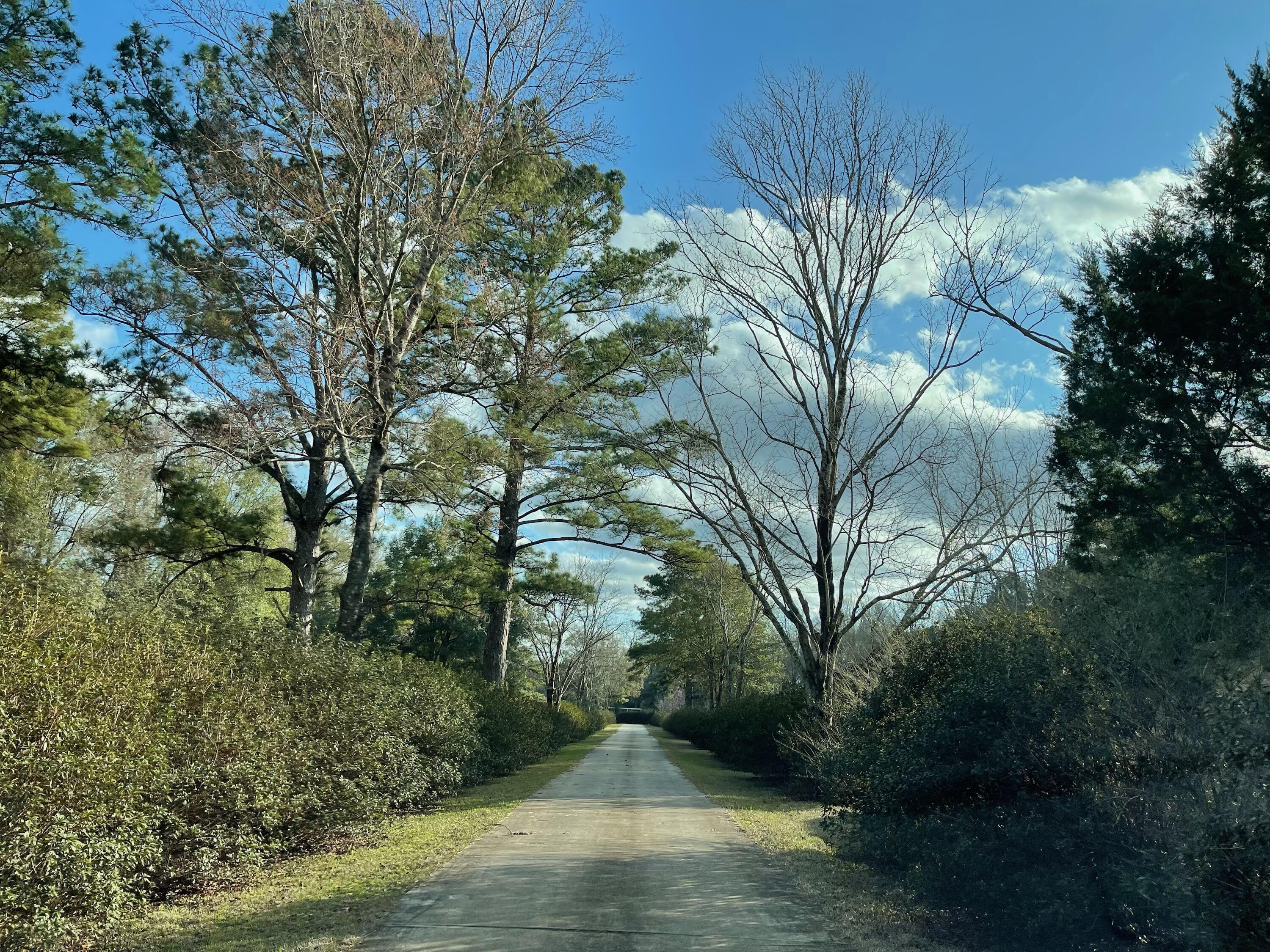 CRESTVIEW SUBURB (231000.00) - Residential