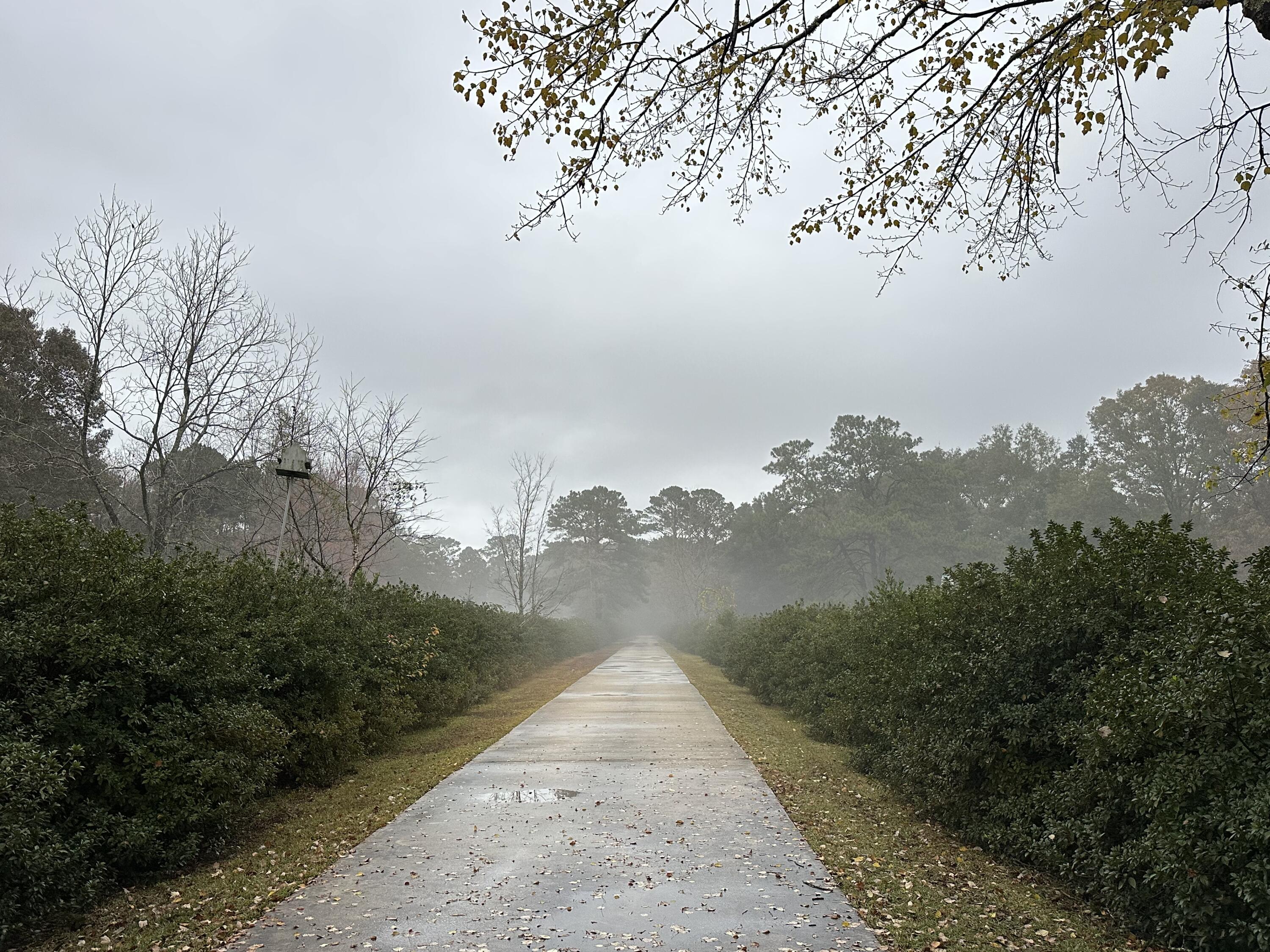 CRESTVIEW SUBURB (231000.00) - Residential