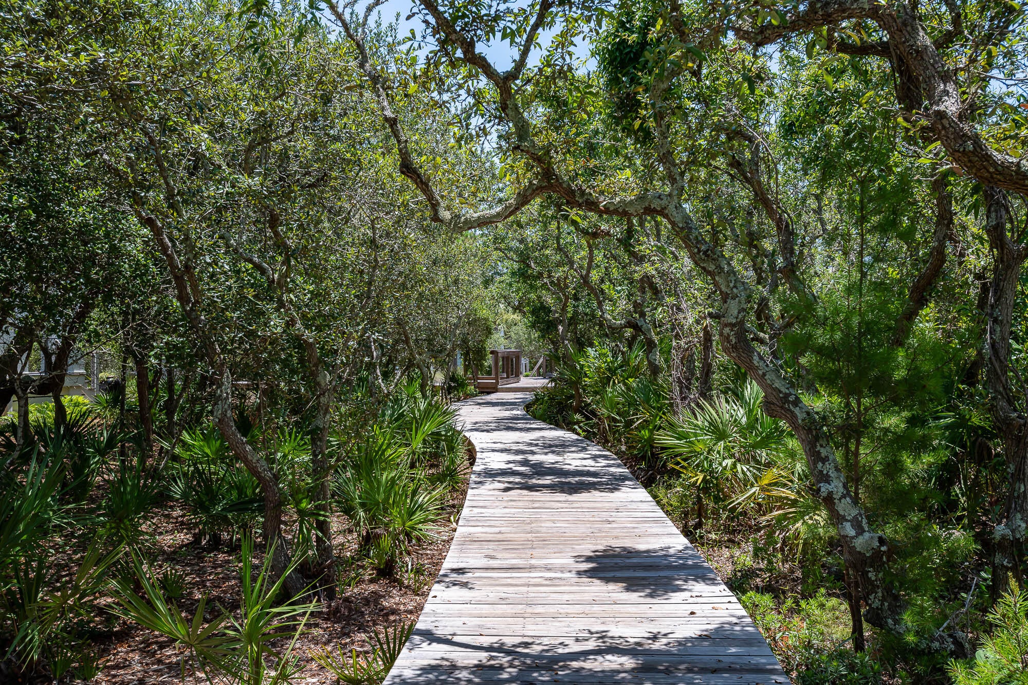 Watersound Beach - Residential