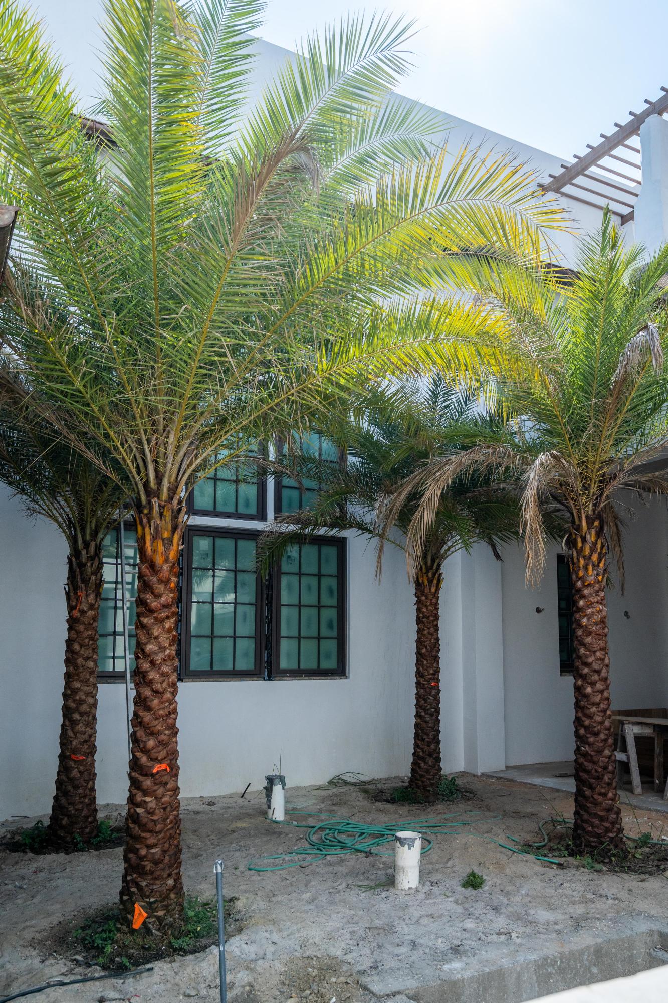 ALYS BEACH - Residential