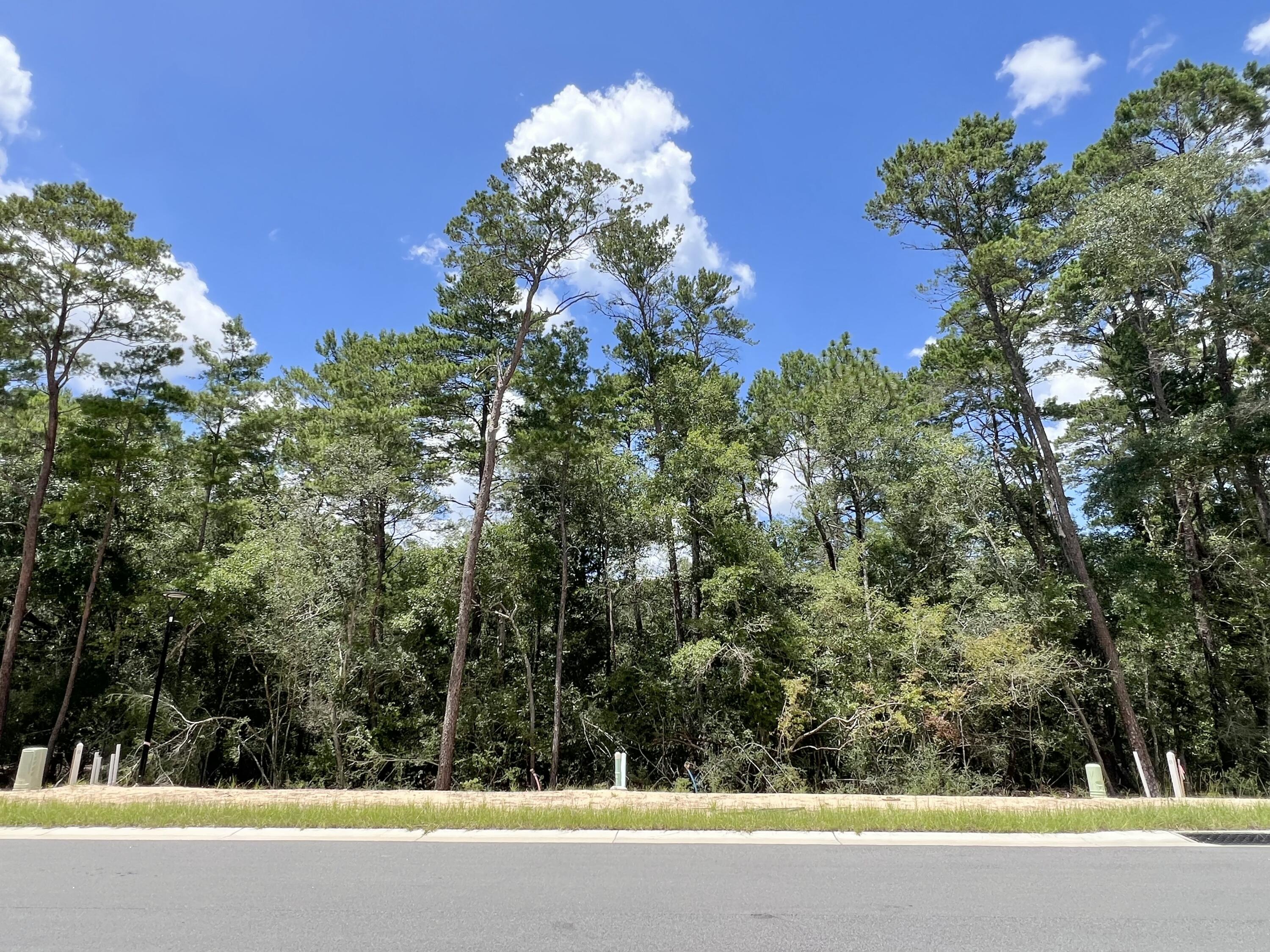 Beautiful lot in the desirable and new Deer Moss Creek Phase 11! Deer Moss Creek® is an 1,100- acre, master-planned, mixed-use community in Niceville, FL. Community plans include a nature trail, bike lanes, parks, pools, office and retail space. Sidewalks are 5' wide and home plans must be approved by the Town Architect. Build your dream home in the beautiful Deer Moss Creek community!