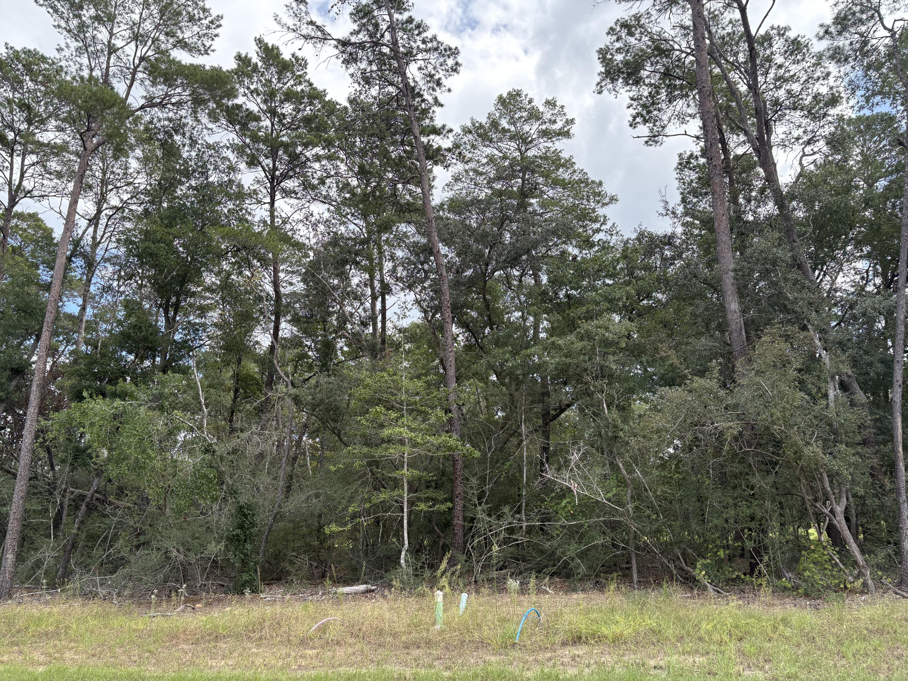 Deer Moss Creek - Land