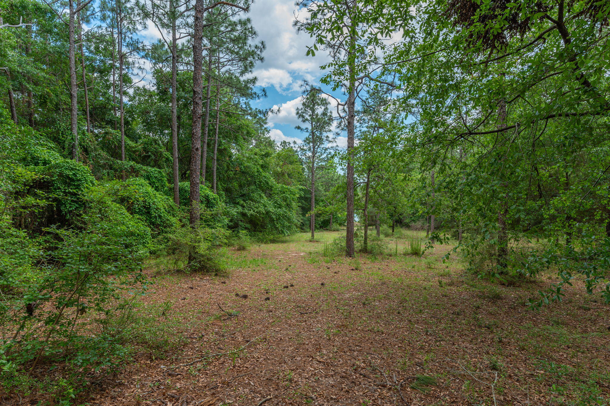KENNEDY LAKE (UNRECORDED) - Land