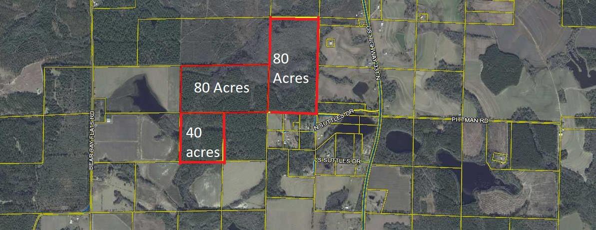 200 Acres in North Walton County that could be your chance to live the dream.  Timber has just been thinned.  Perfect for recreation and a nice place in the back for a homesite. Come take a look and don't miss the opportunity to live the country life!!